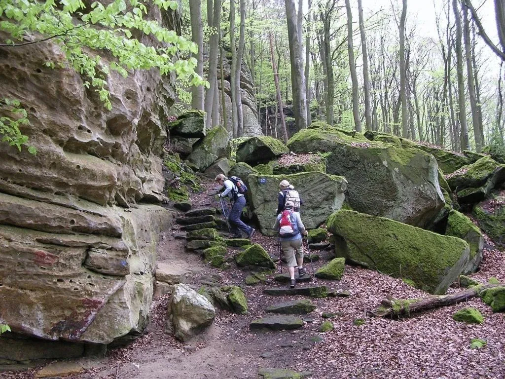 Hiking in Hotel Ritschlay