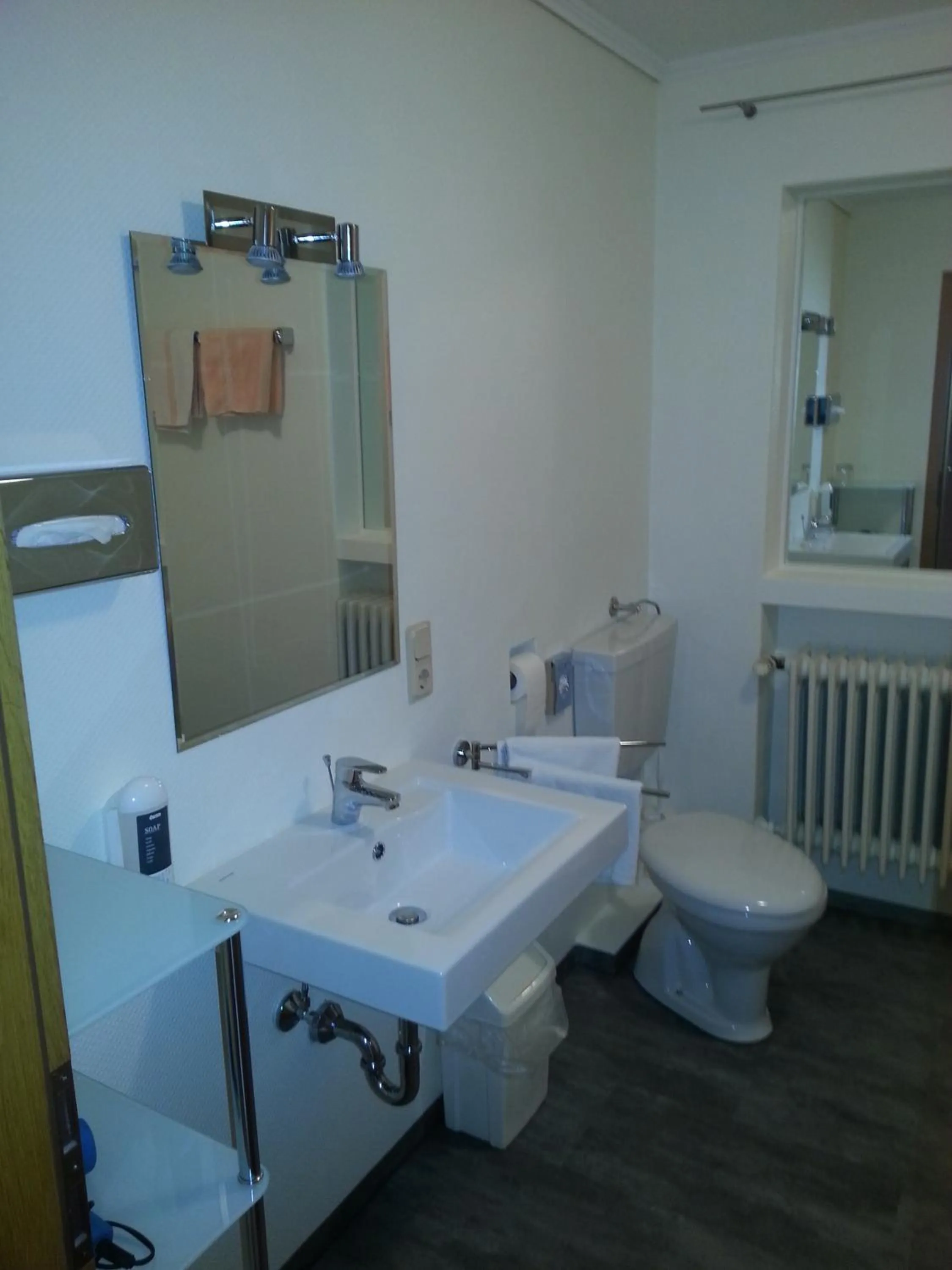 Bathroom in Hotel Ritschlay