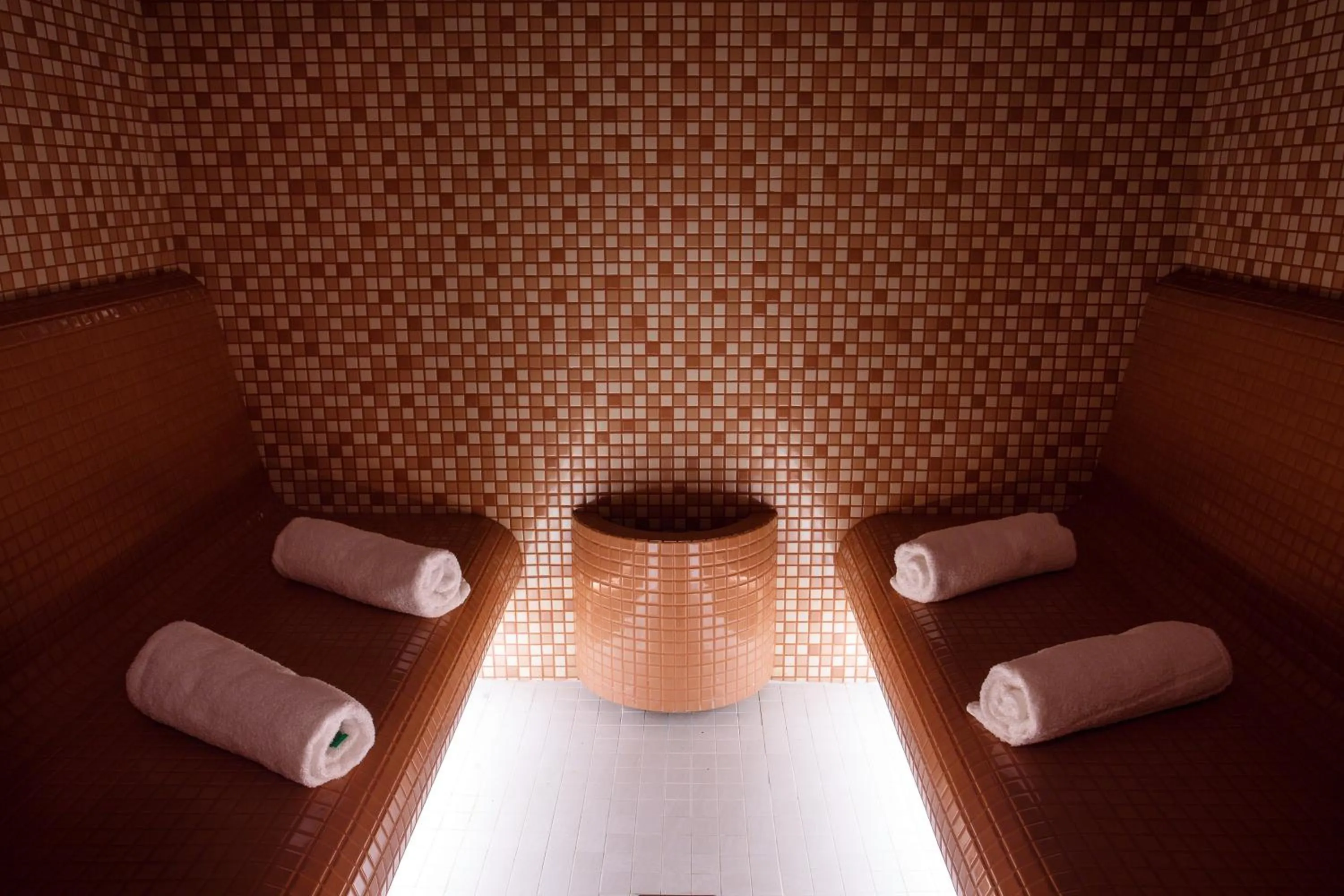 Steam room in Vila Terra