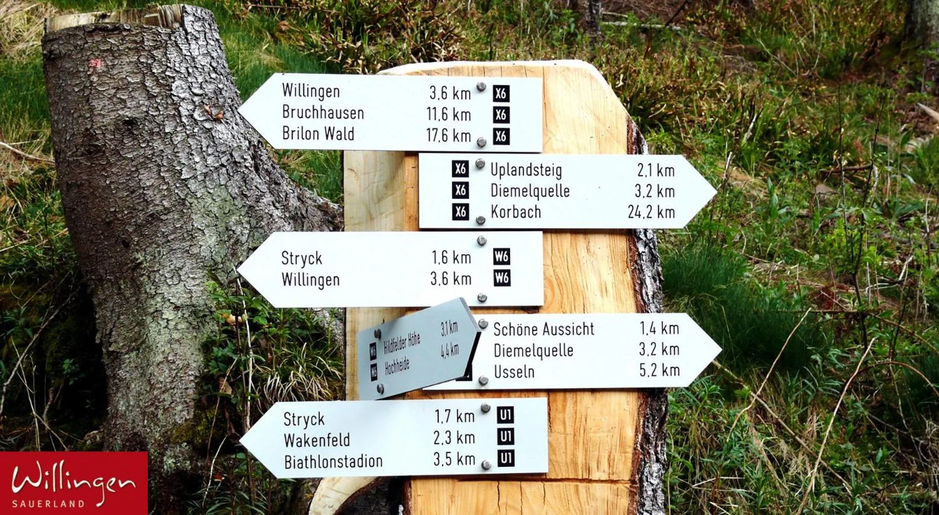 Hiking in Hotel & Ferienappartements Edelweiss