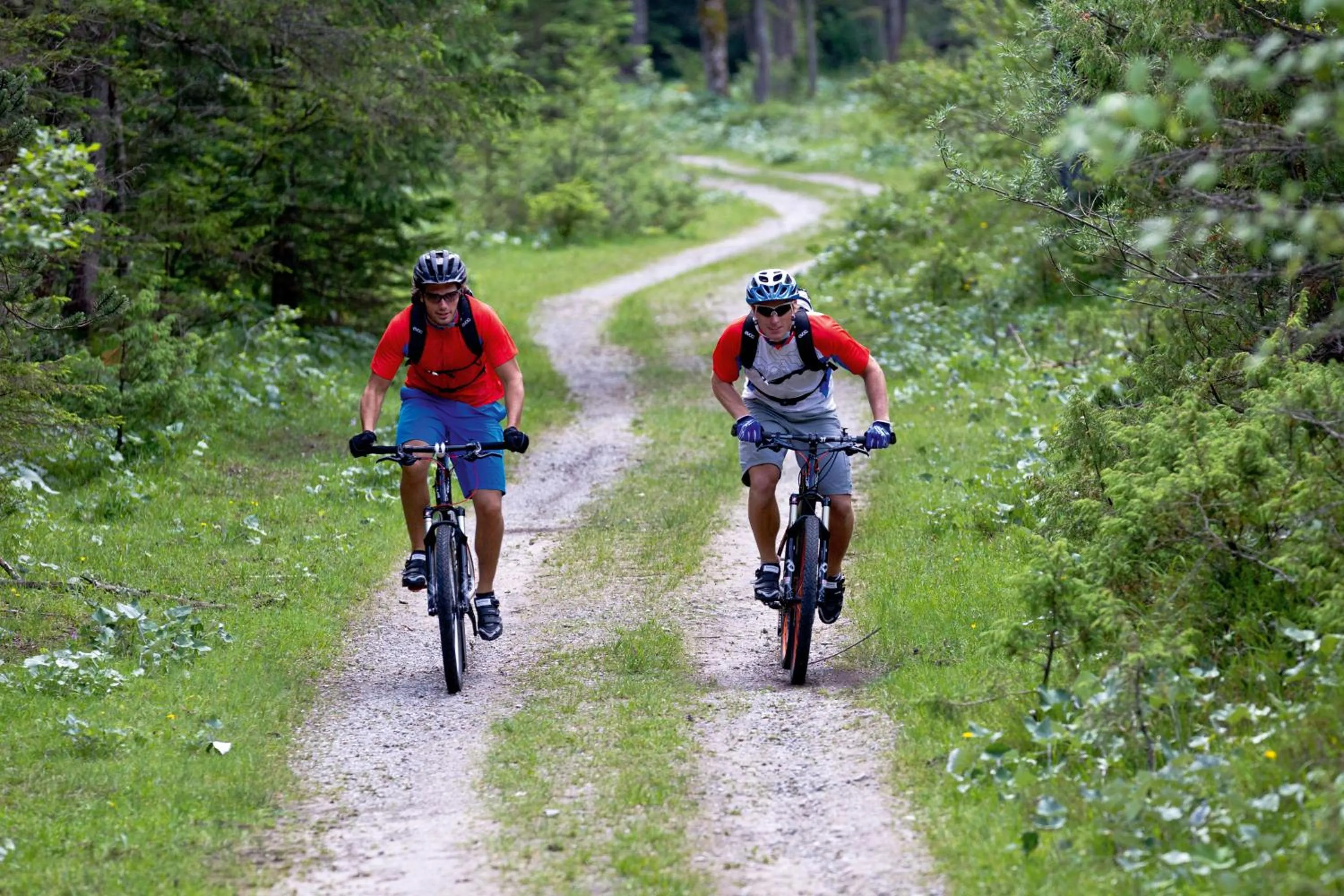 Cycling in Hotel & Ferienappartements Edelweiss