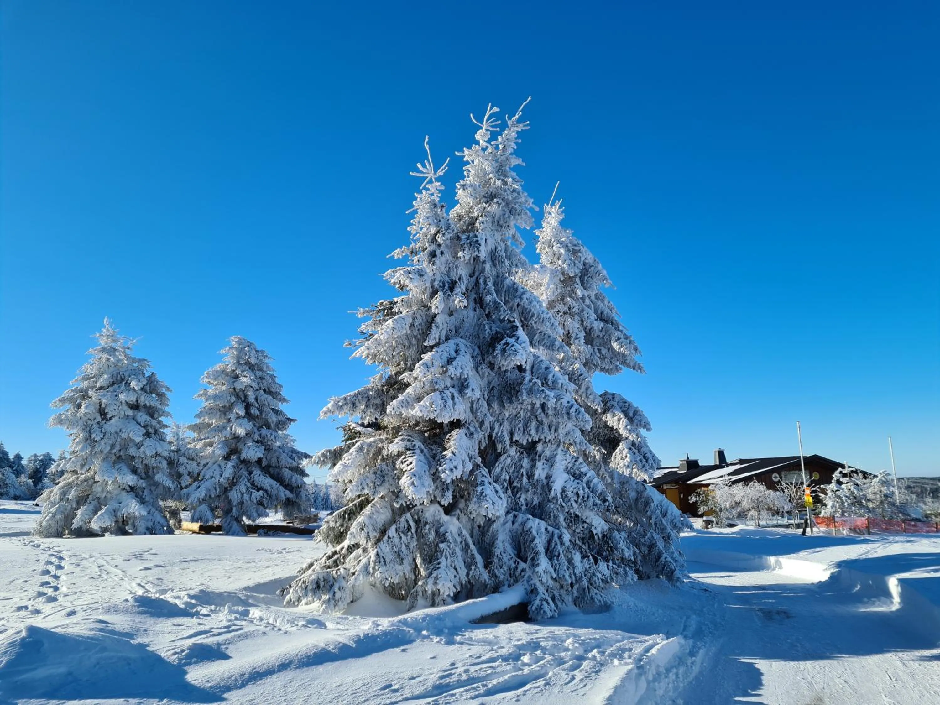 Winter in Hotel & Ferienappartements Edelweiss