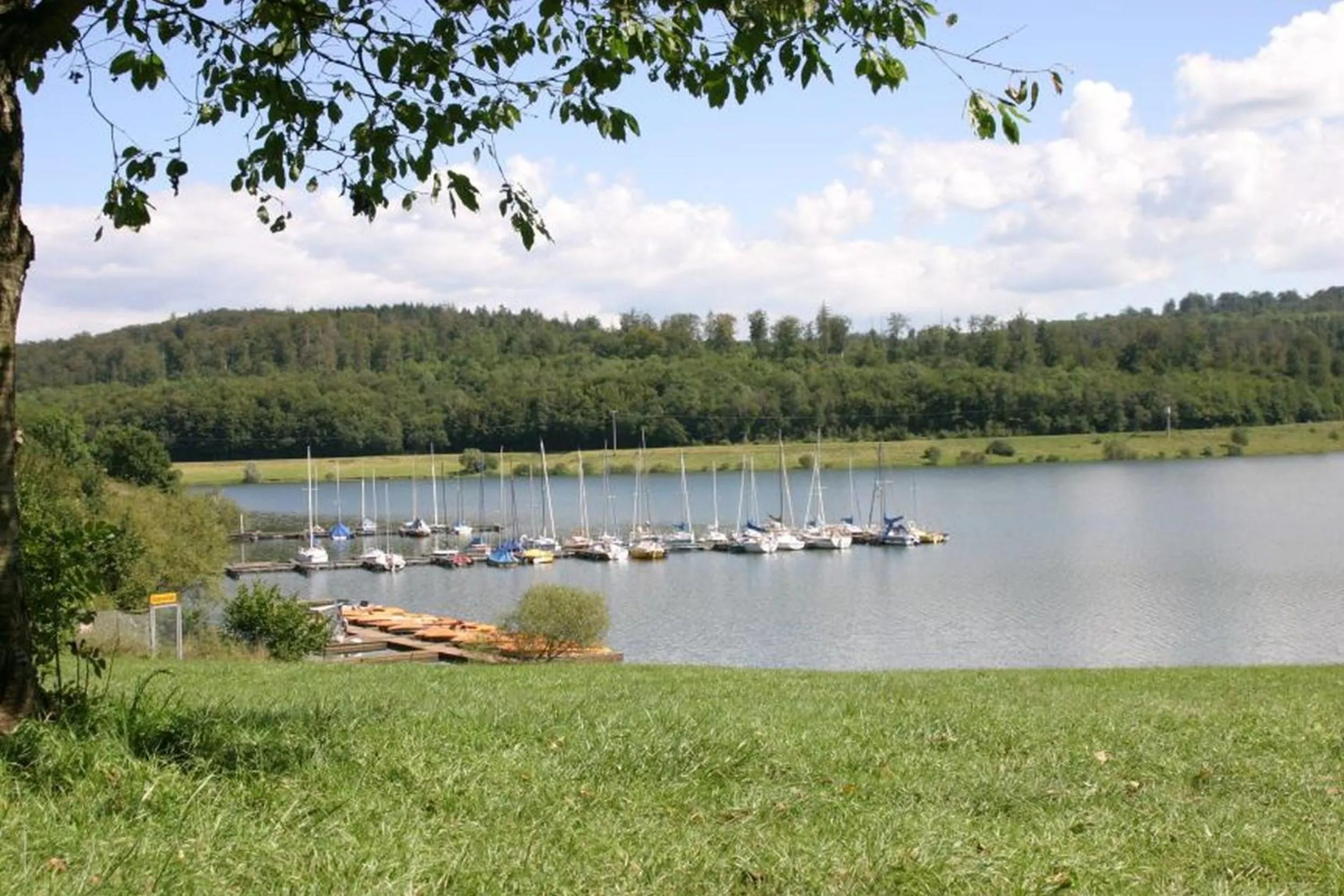 Natural landscape in Parkhotel Schotten