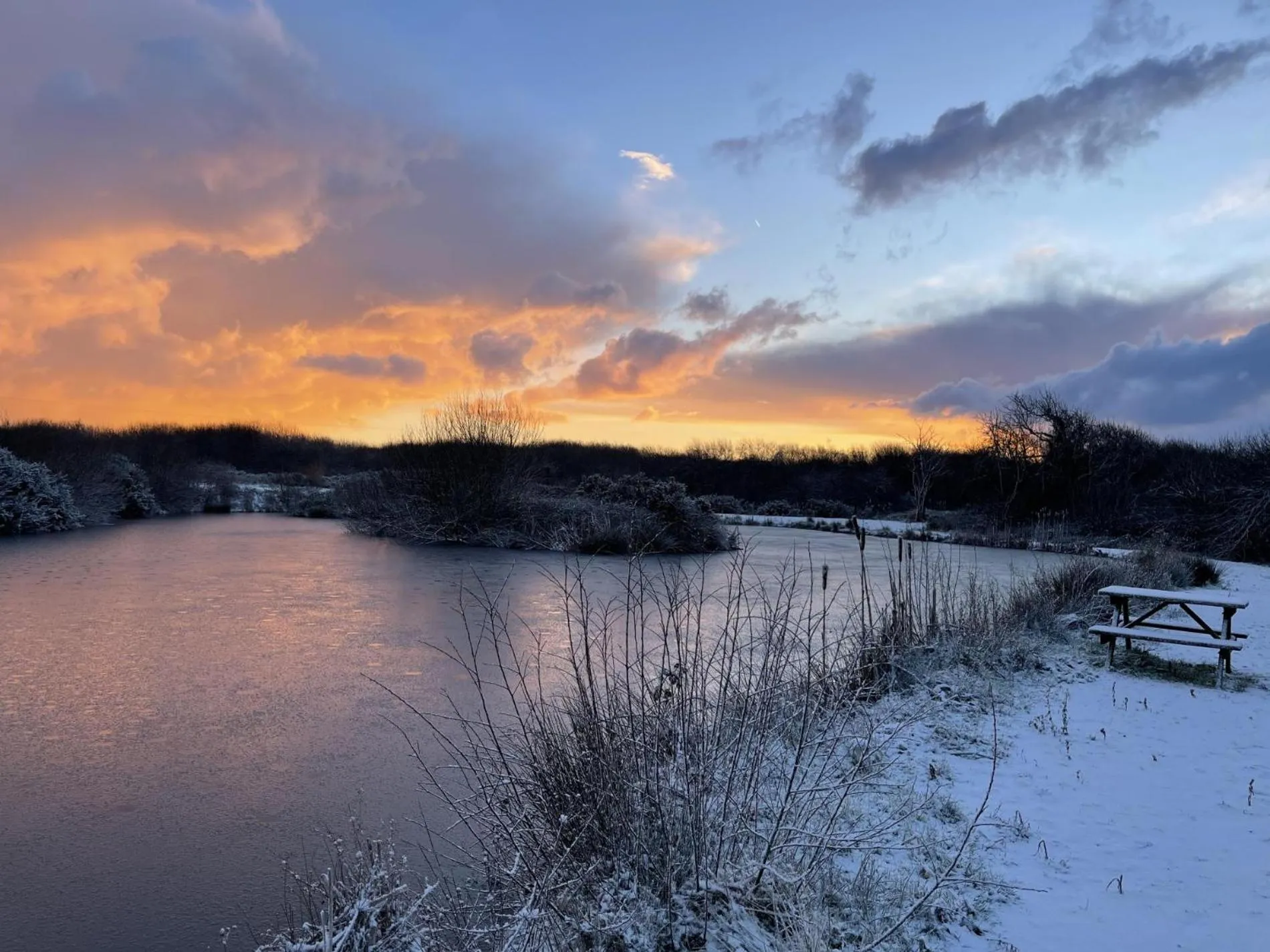 Floor plan in Foxglove - Luxurious Barn Conversion - Blossom Farm