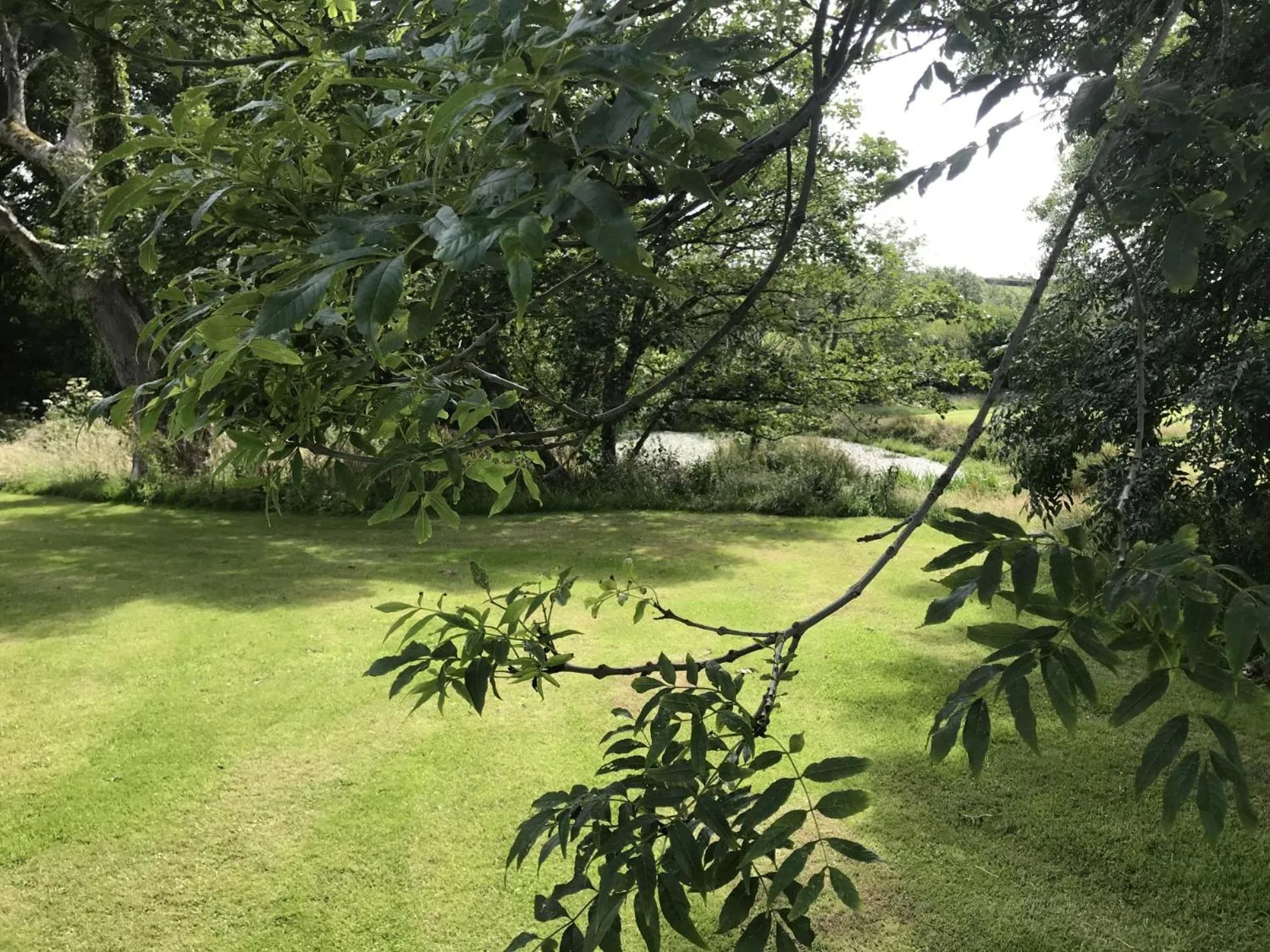 Floor plan in Foxglove - Luxurious Barn Conversion - Blossom Farm