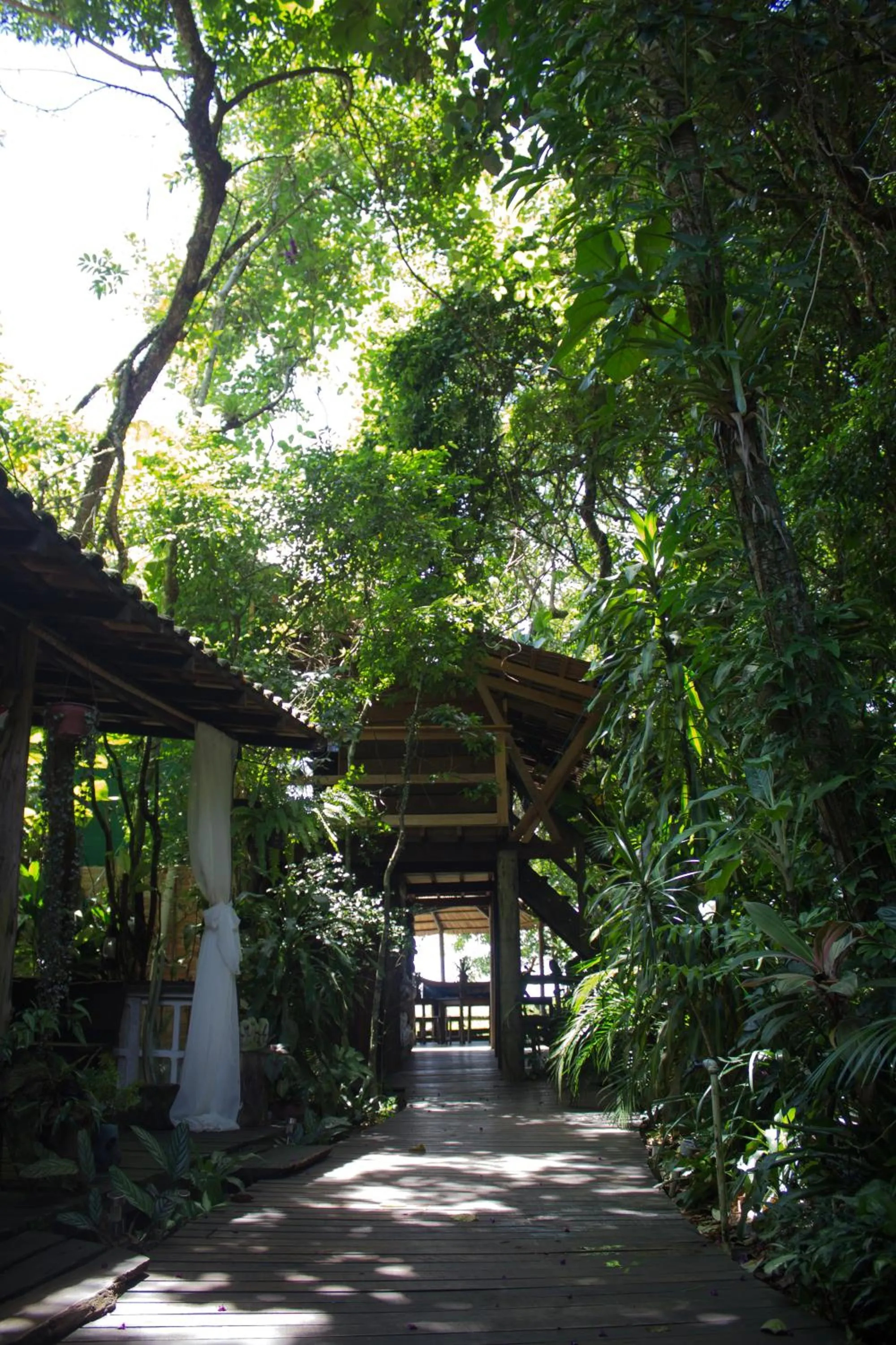Garden in Hotel Pousada Praia do Farol