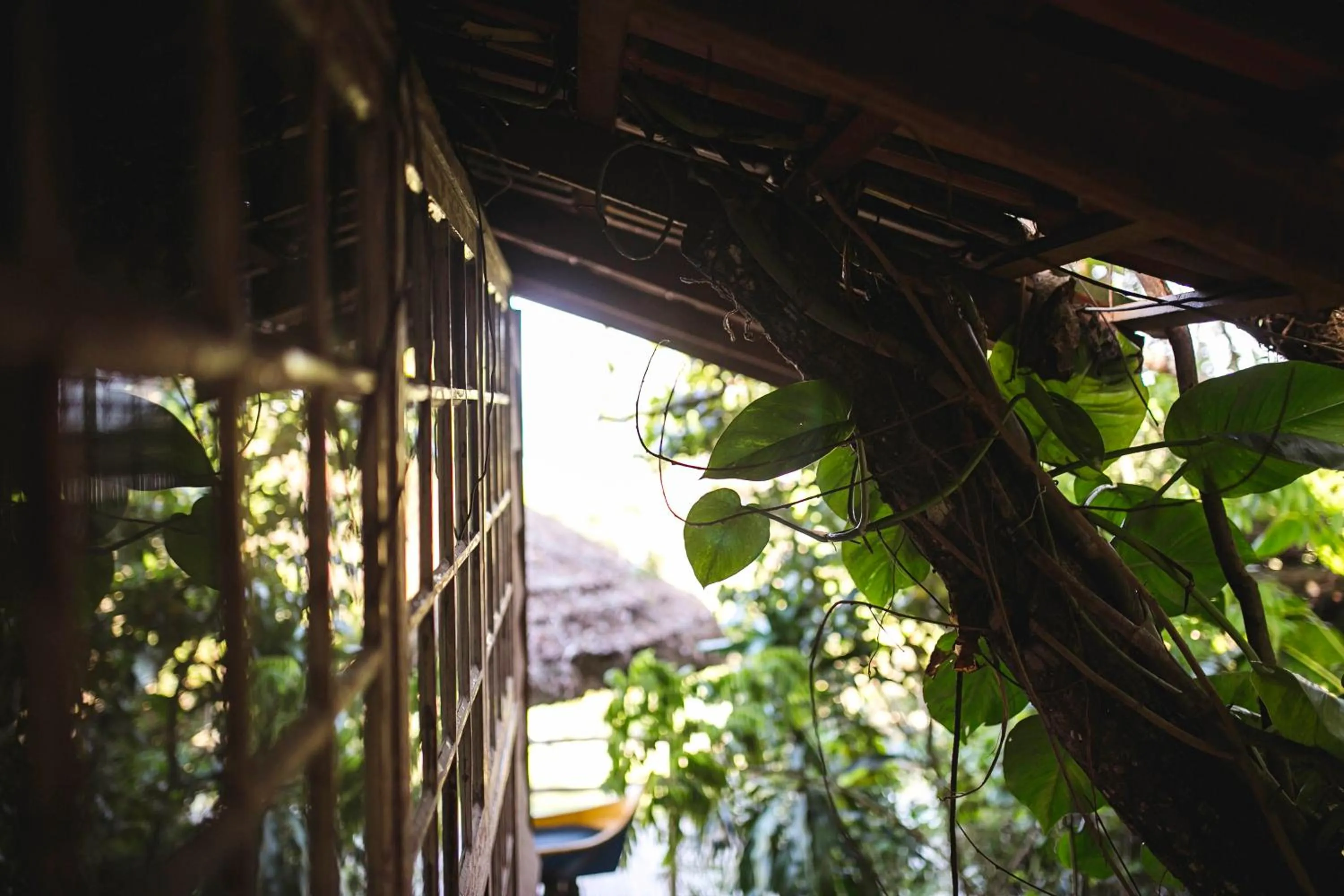 Other in Hotel Pousada Praia do Farol