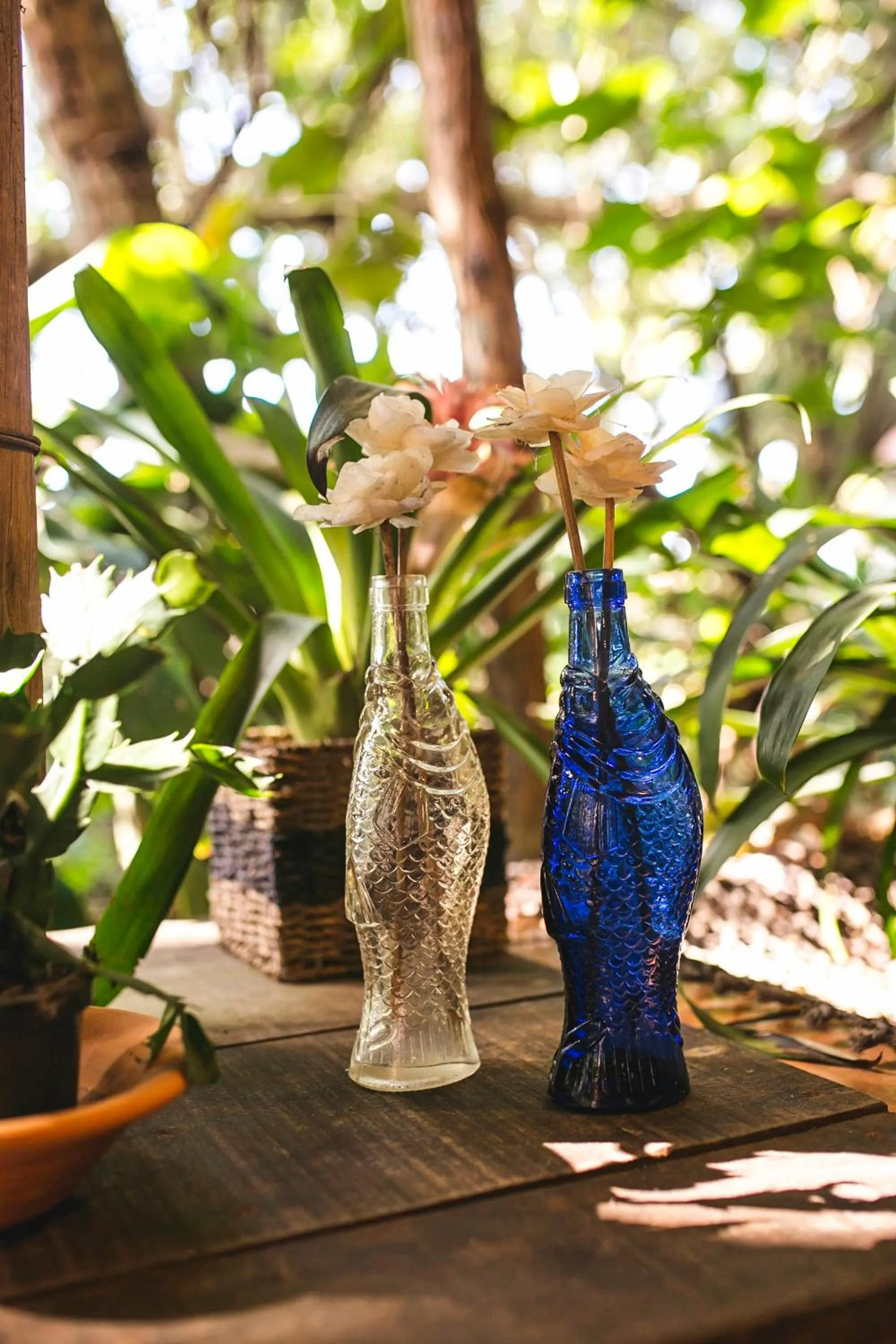 Hotel Pousada Praia do Farol