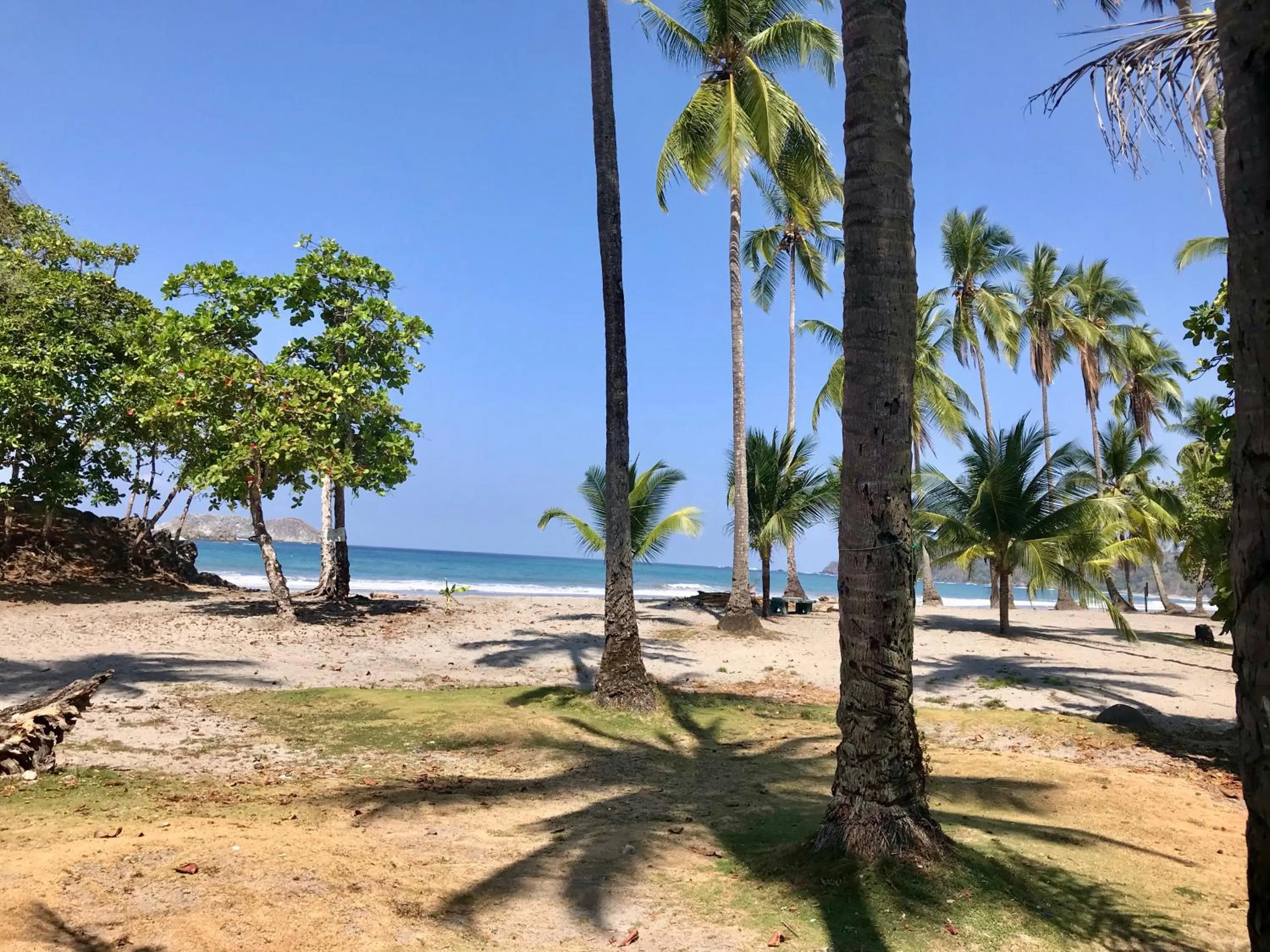 Garden in Hotel Playa Espadilla & Gardens
