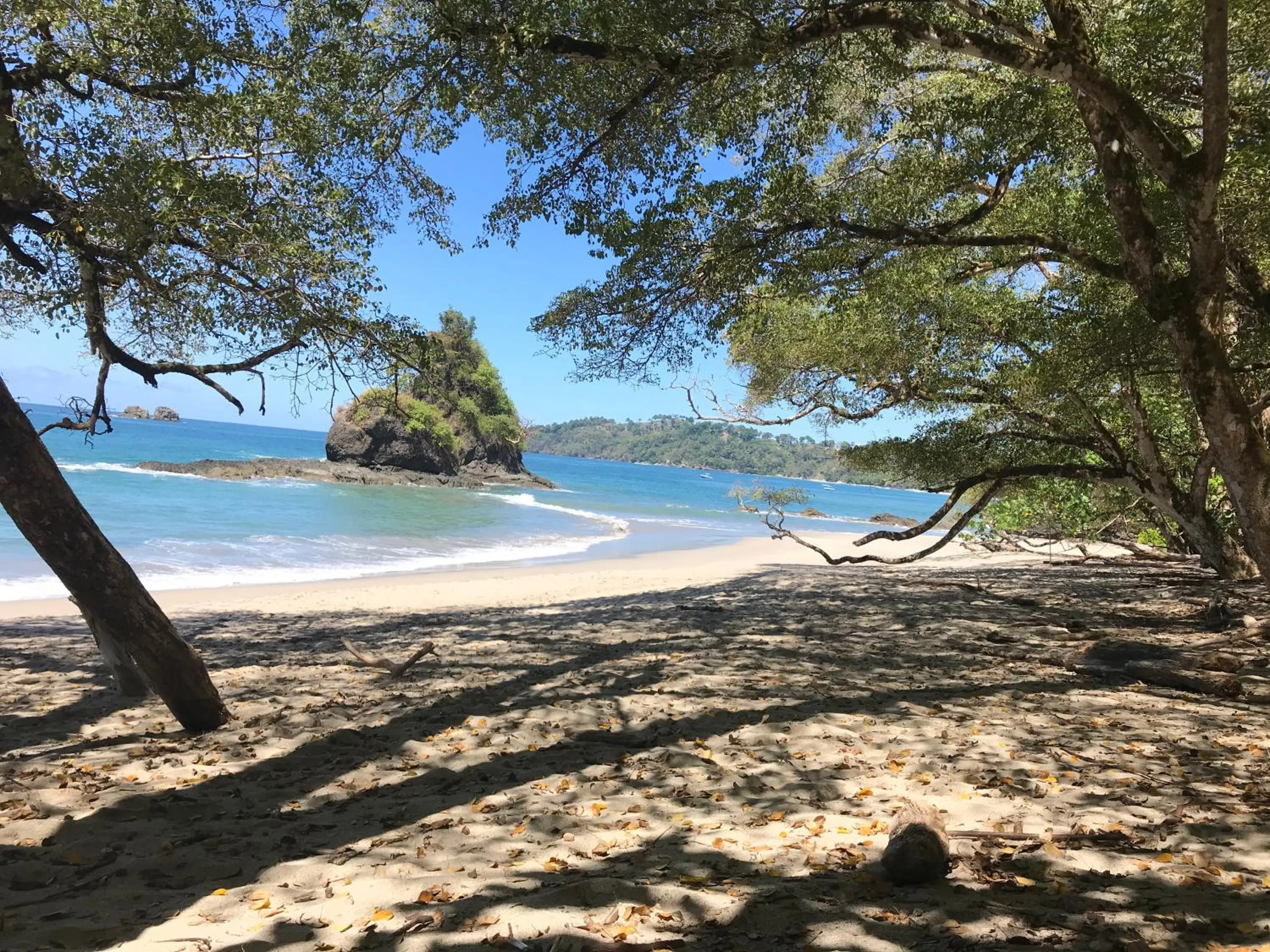Beach in Hotel Playa Espadilla & Gardens