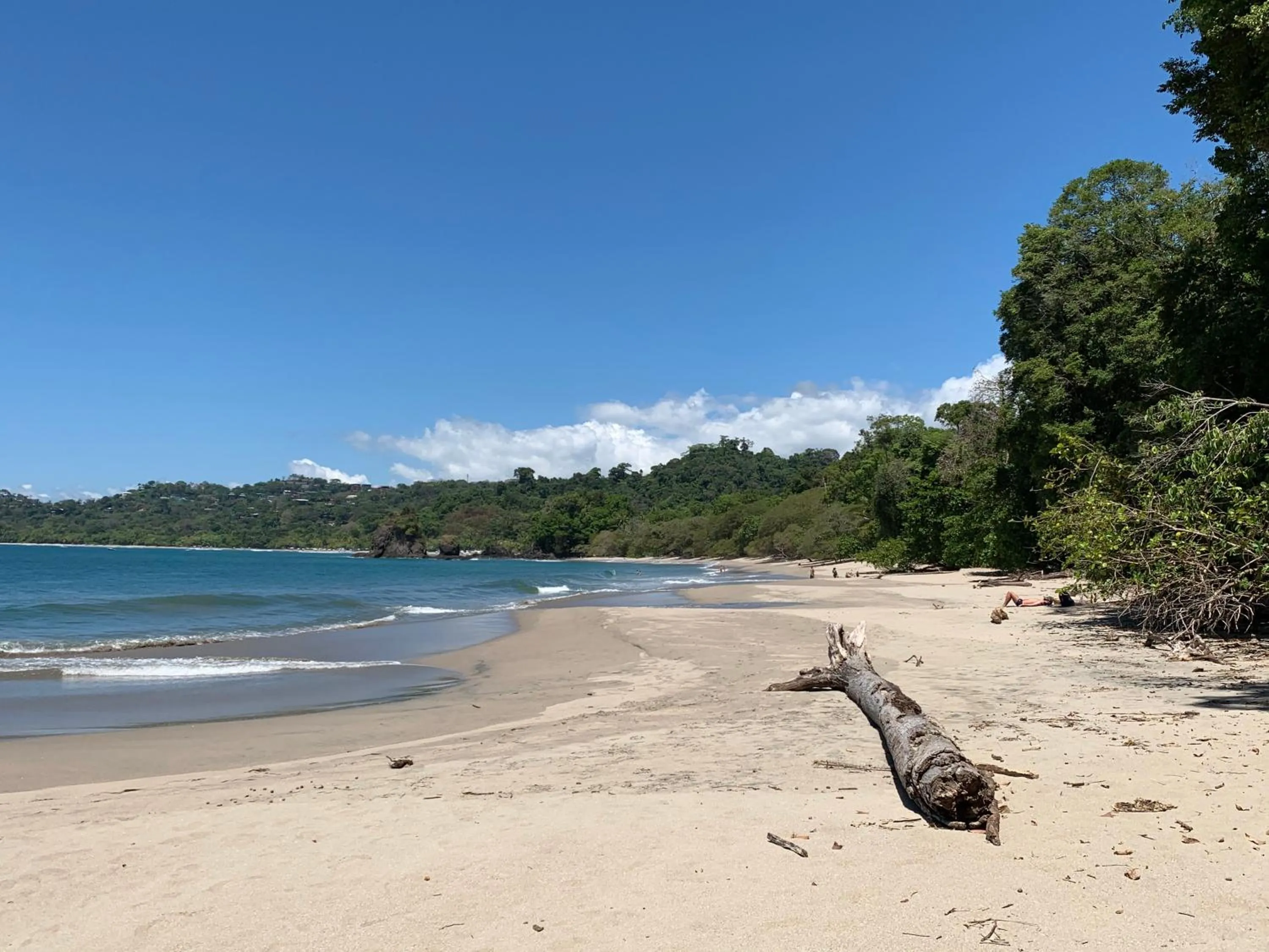 Natural landscape in Hotel Playa Espadilla & Gardens