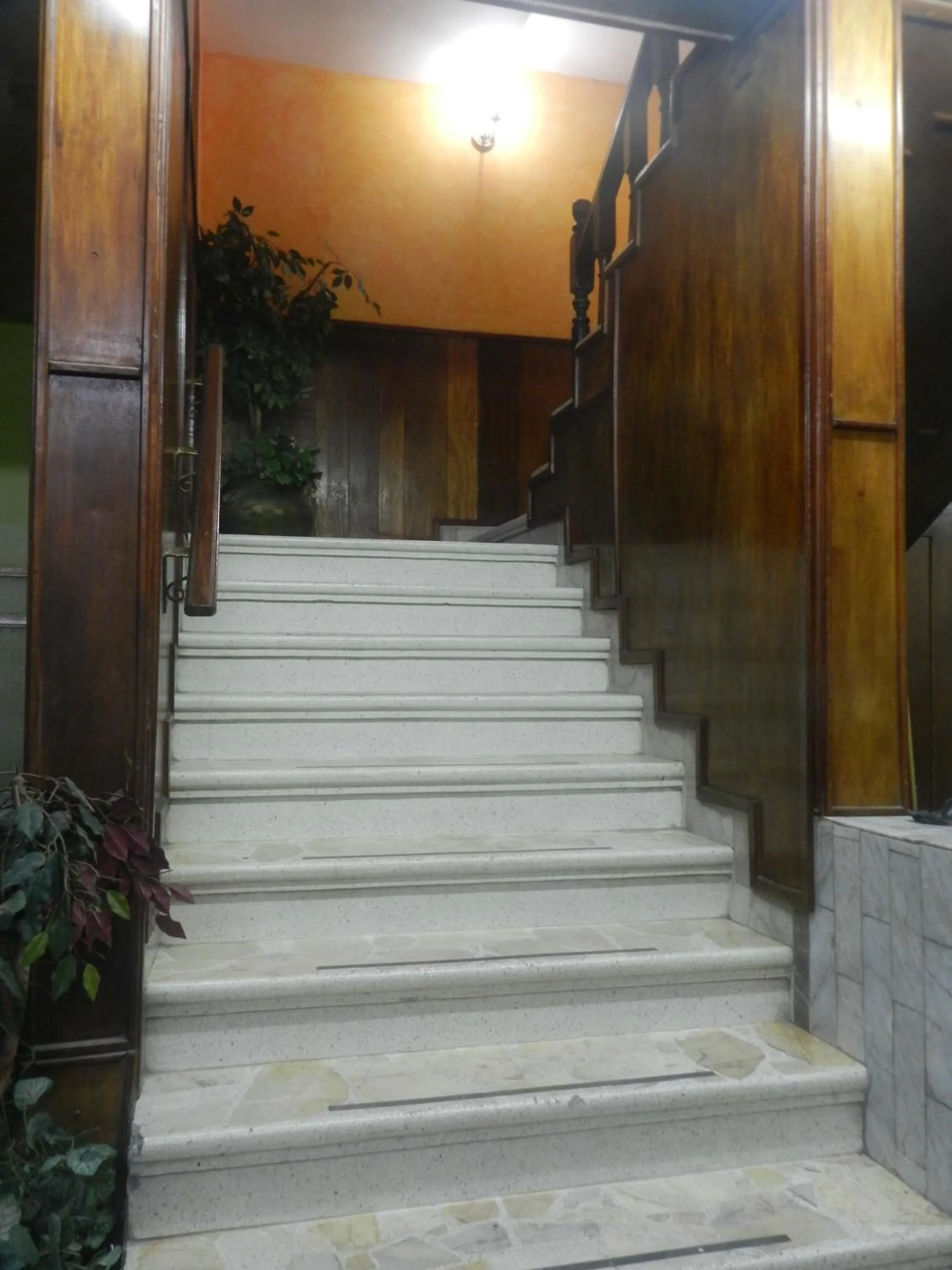 Other in Hotel Posada Ruiseñor