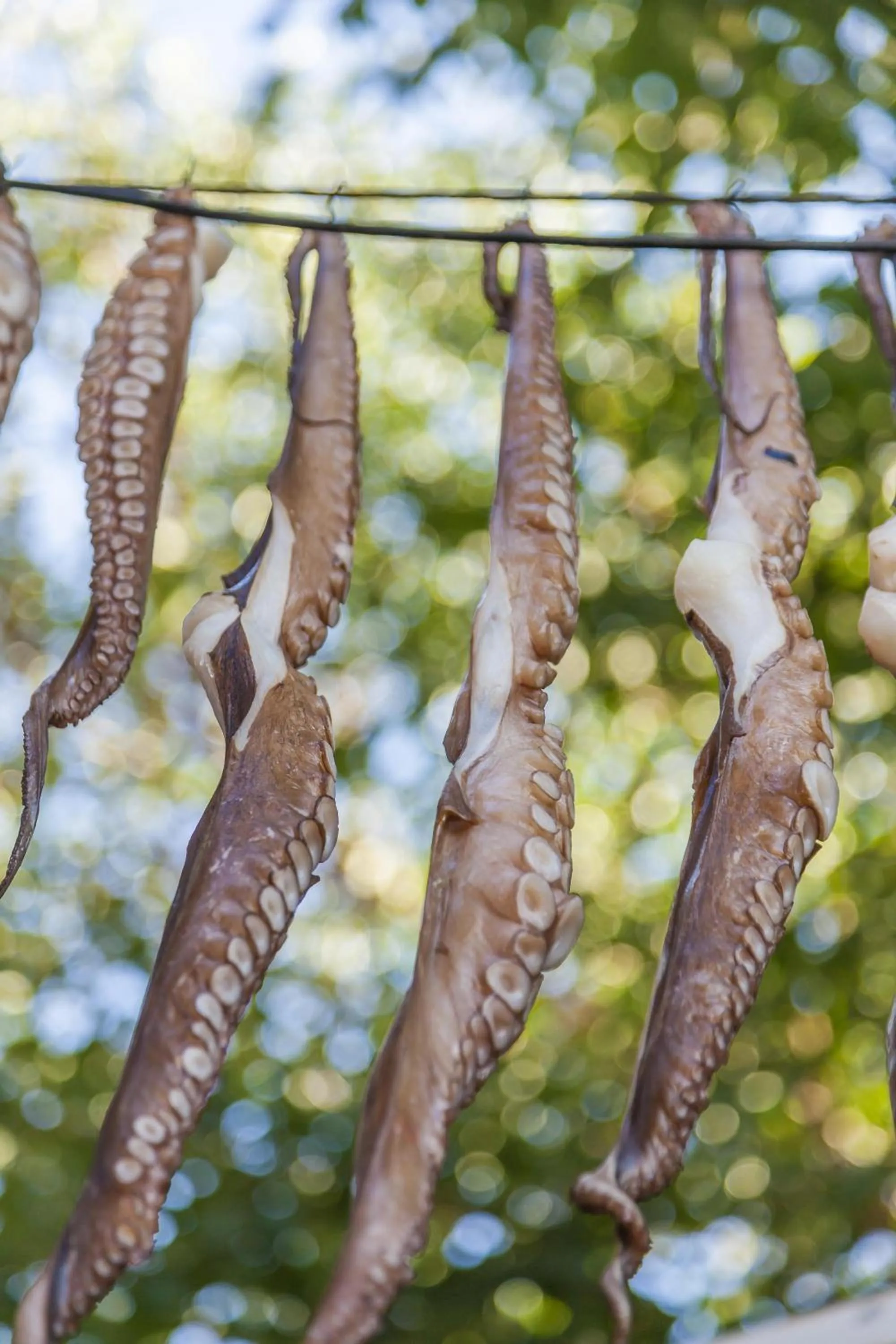 Property building in Skiathos Luxury Villa 2 Bedroom Villa Dyo Vromolimnos