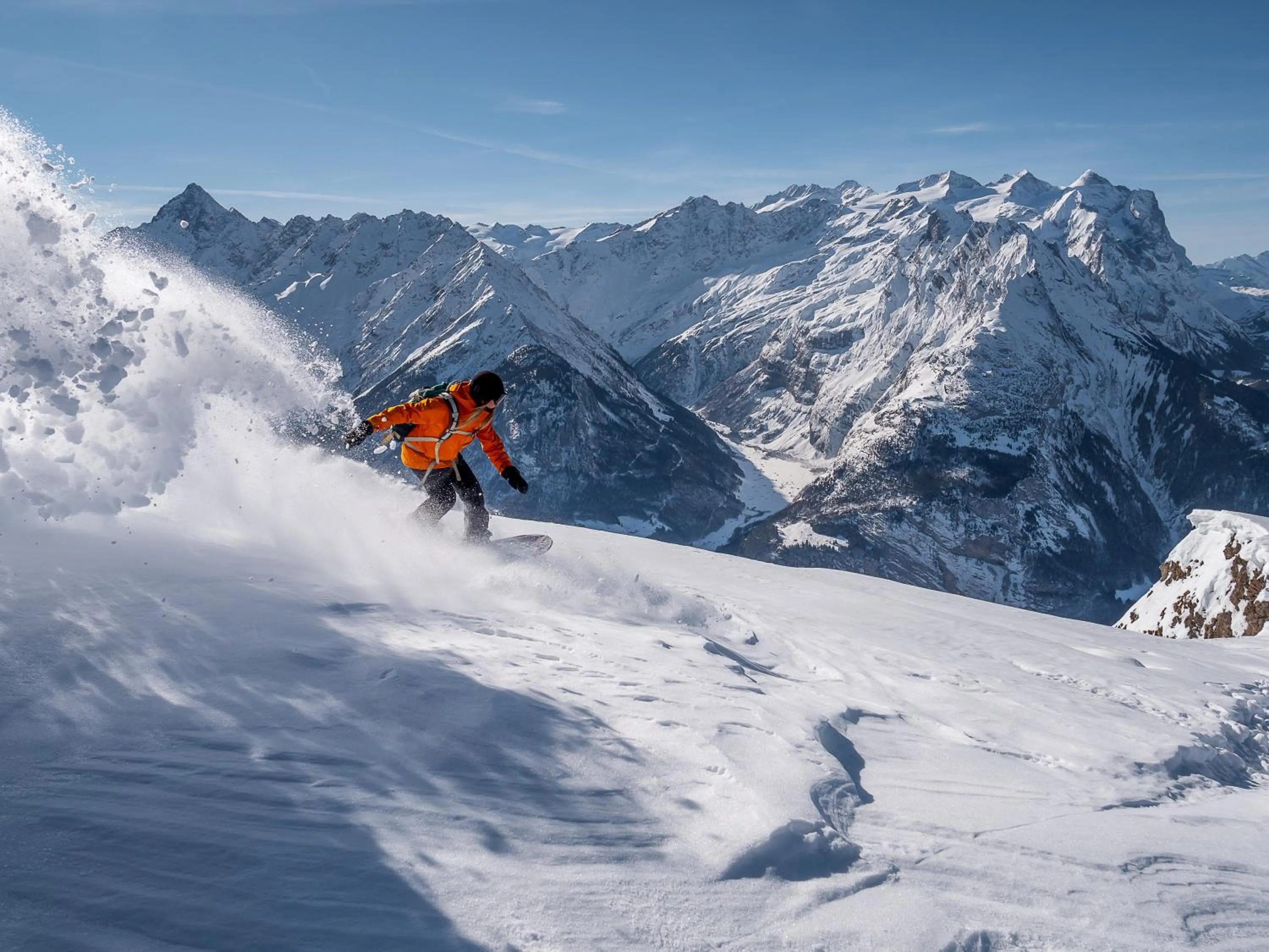 Parkhotel du Sauvage