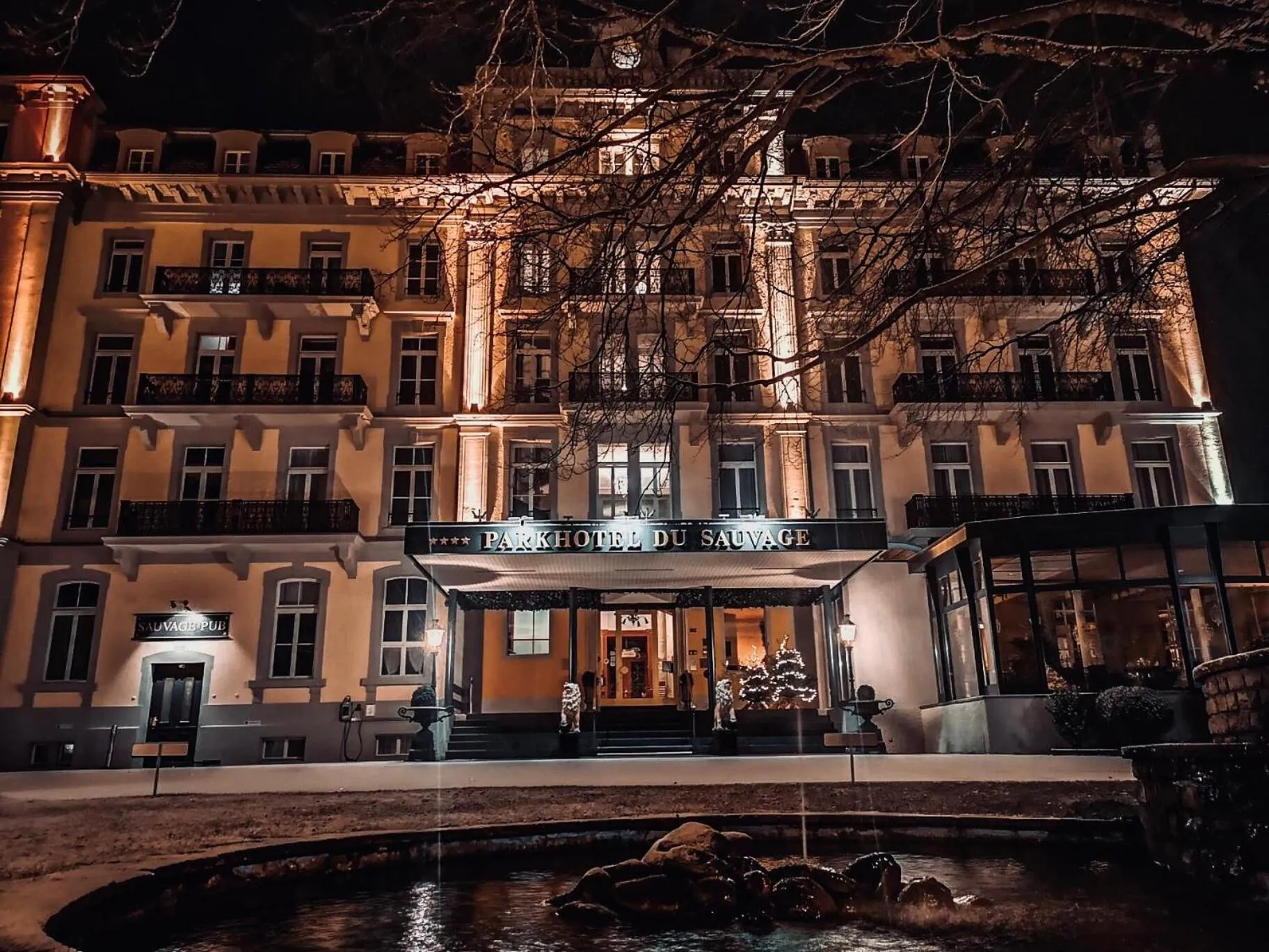Parkhotel du Sauvage