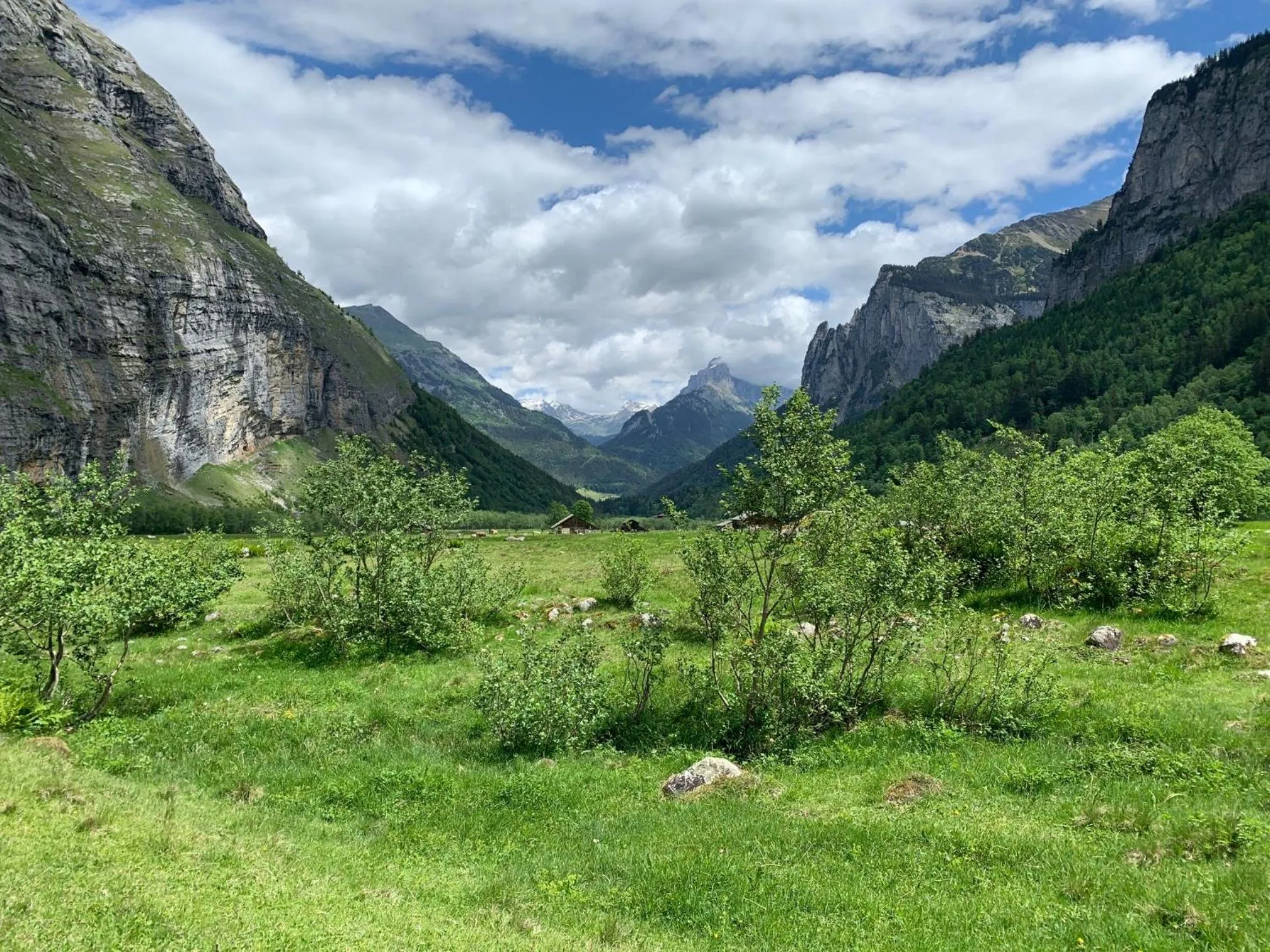 Parkhotel du Sauvage