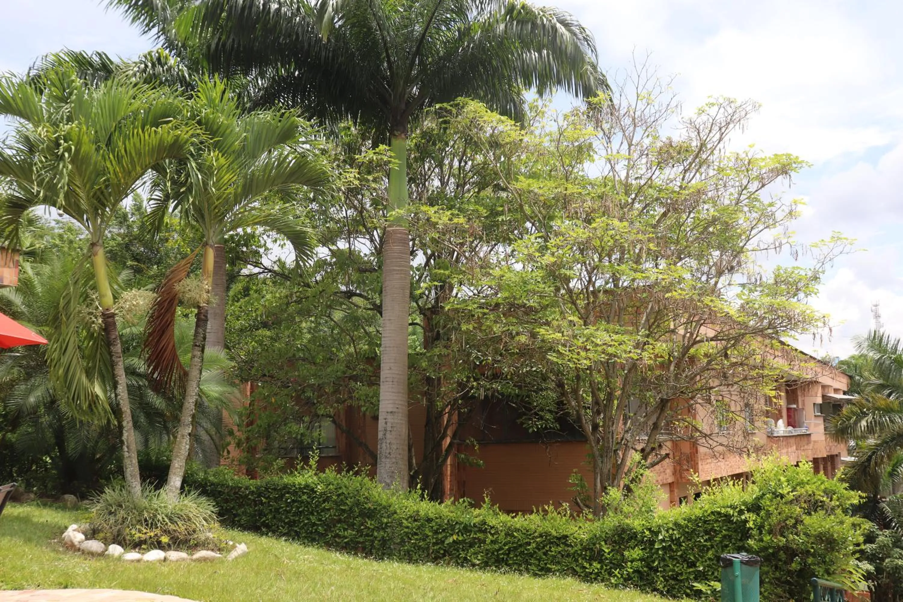 Natural landscape in Hotel Palmera Real