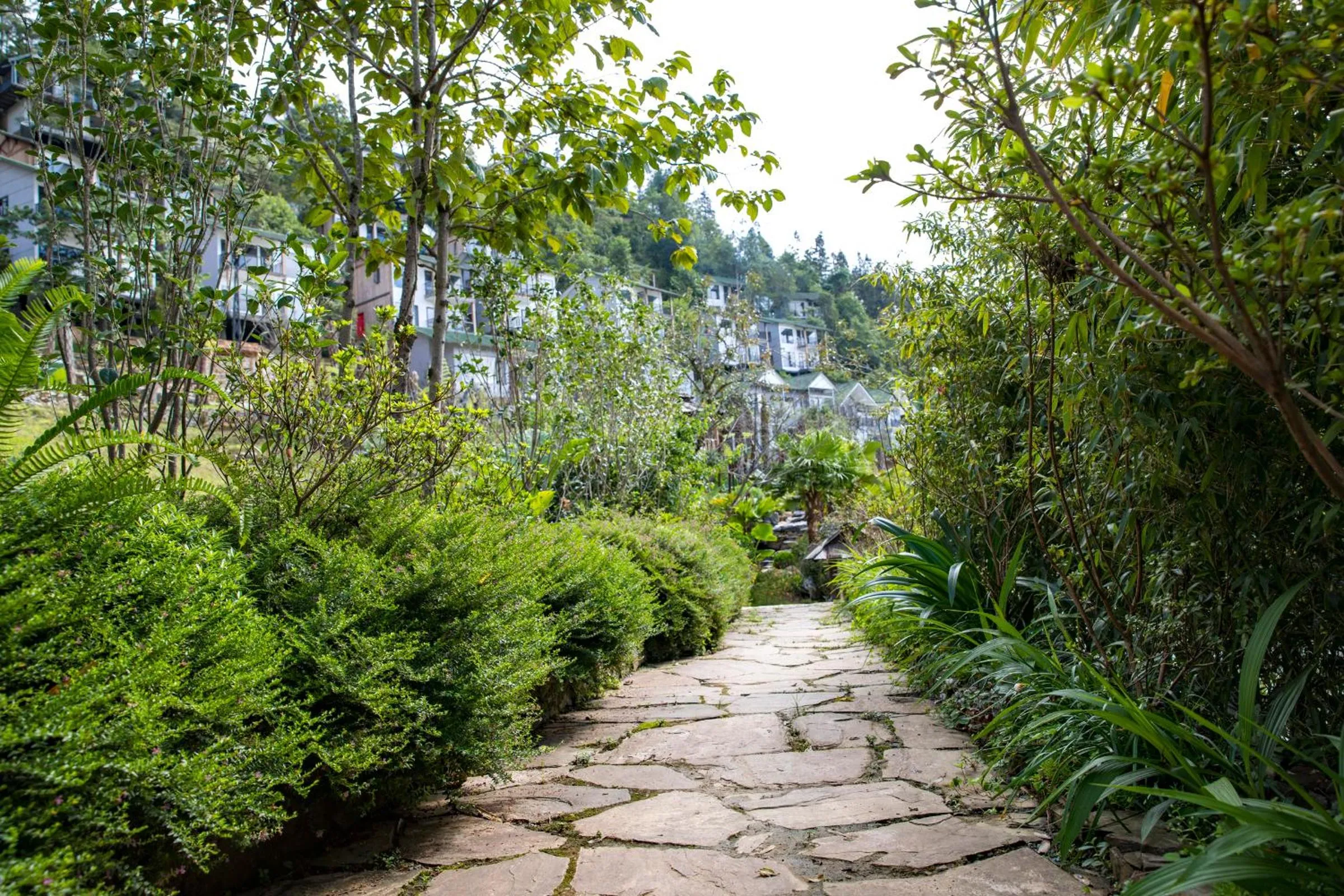 Garden in Sapa Catcat Hills Resort & Spa