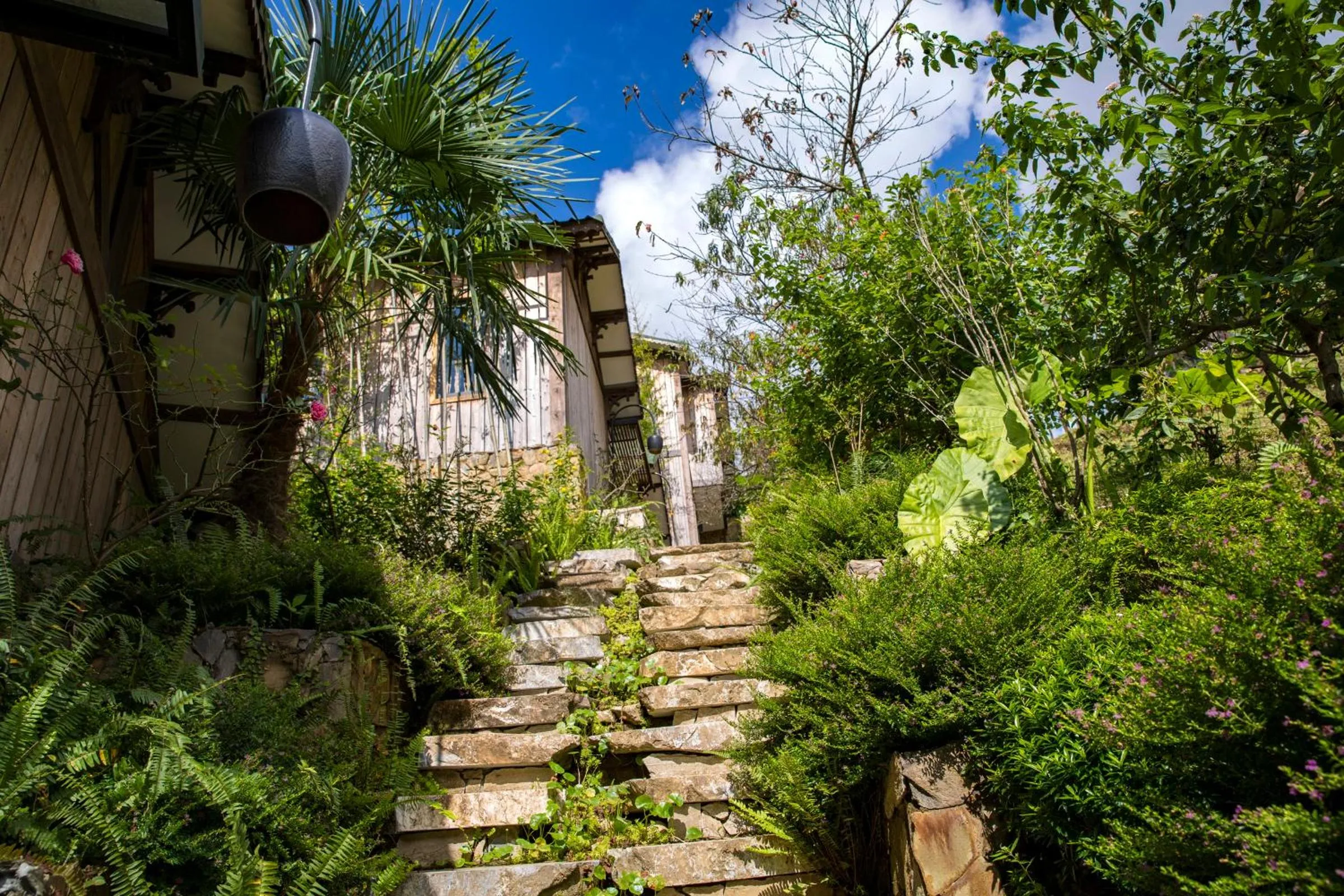 Garden in Sapa Catcat Hills Resort & Spa