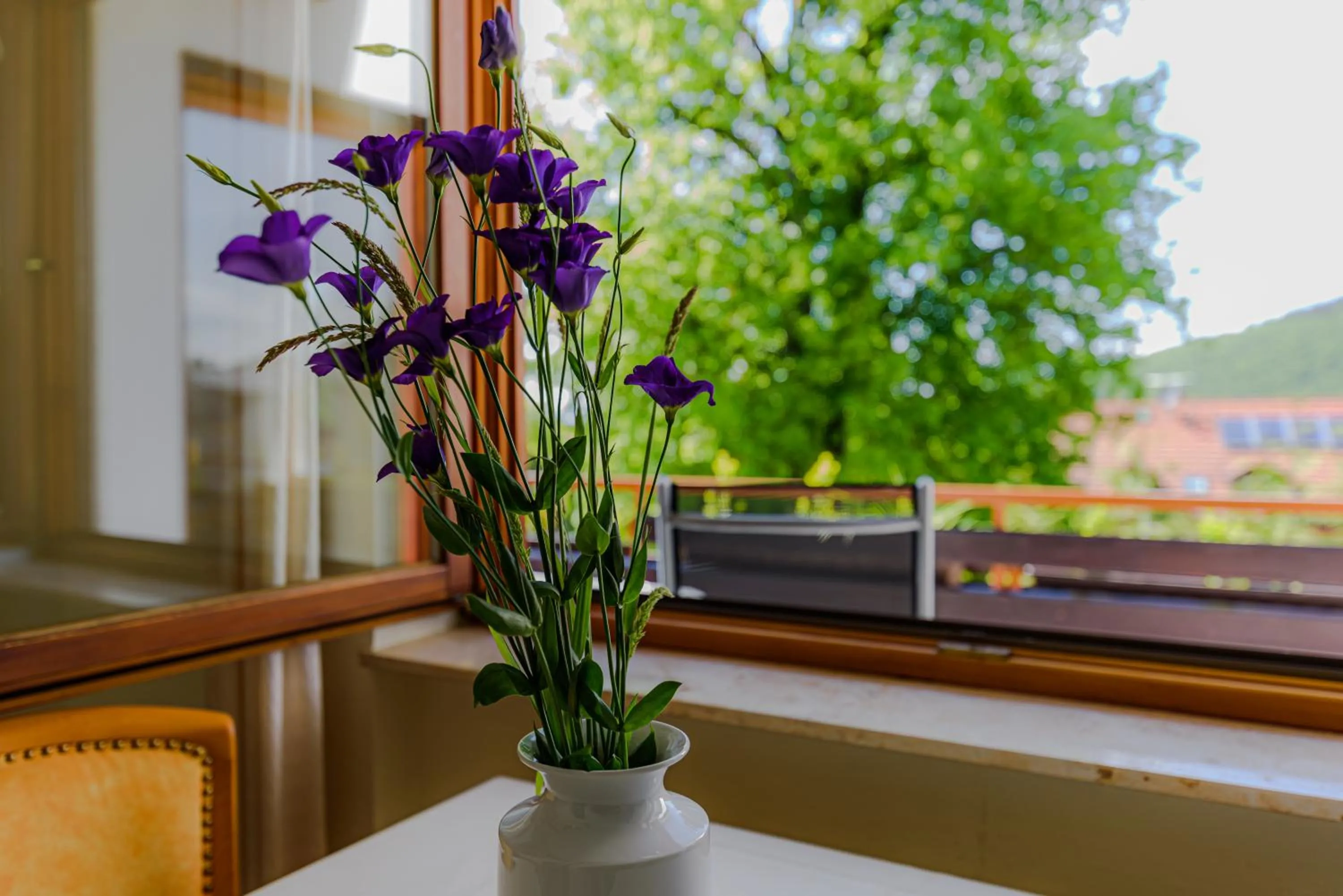 Mountain view in Park Appartements