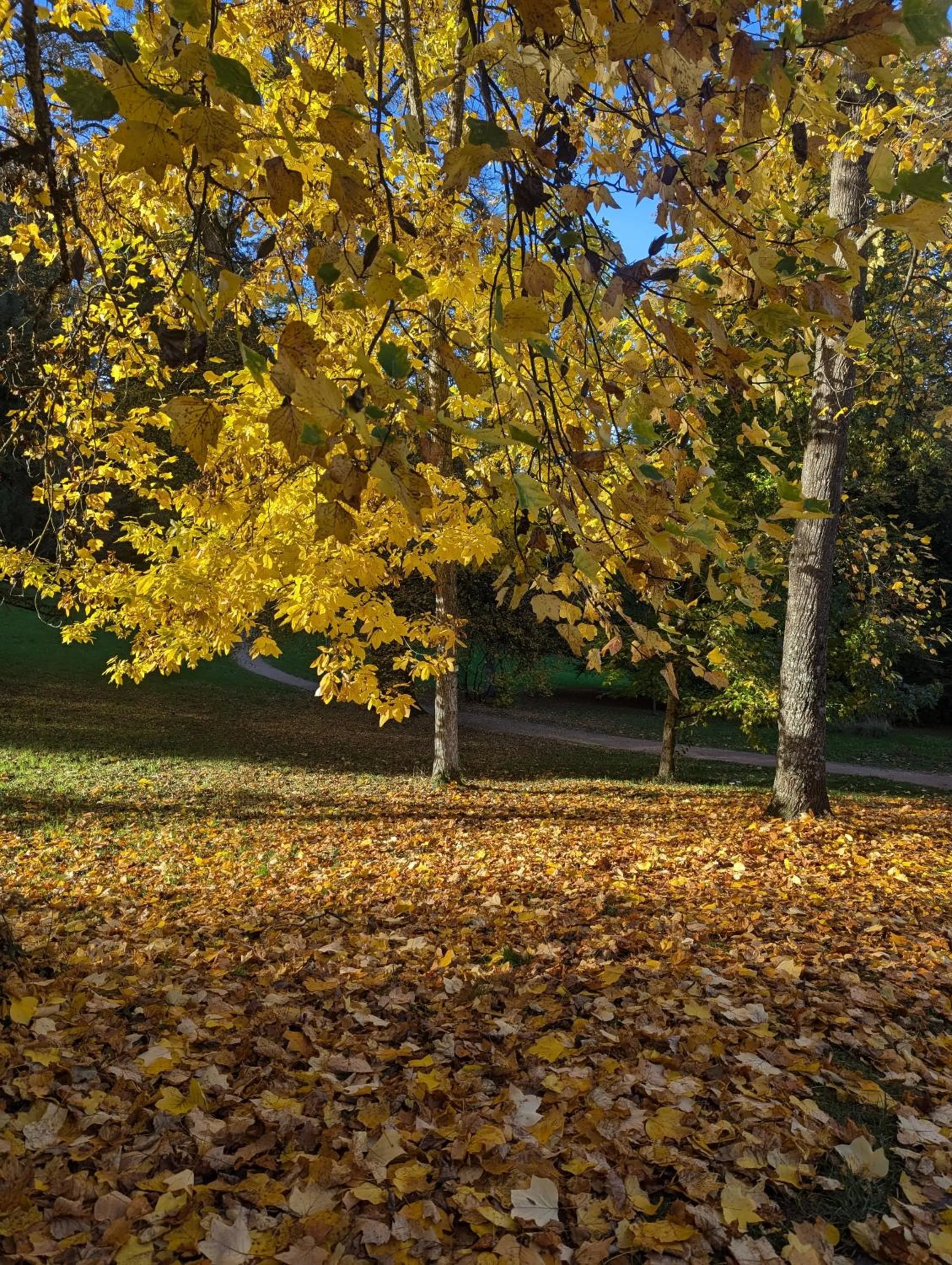 Natural landscape in Park Appartements