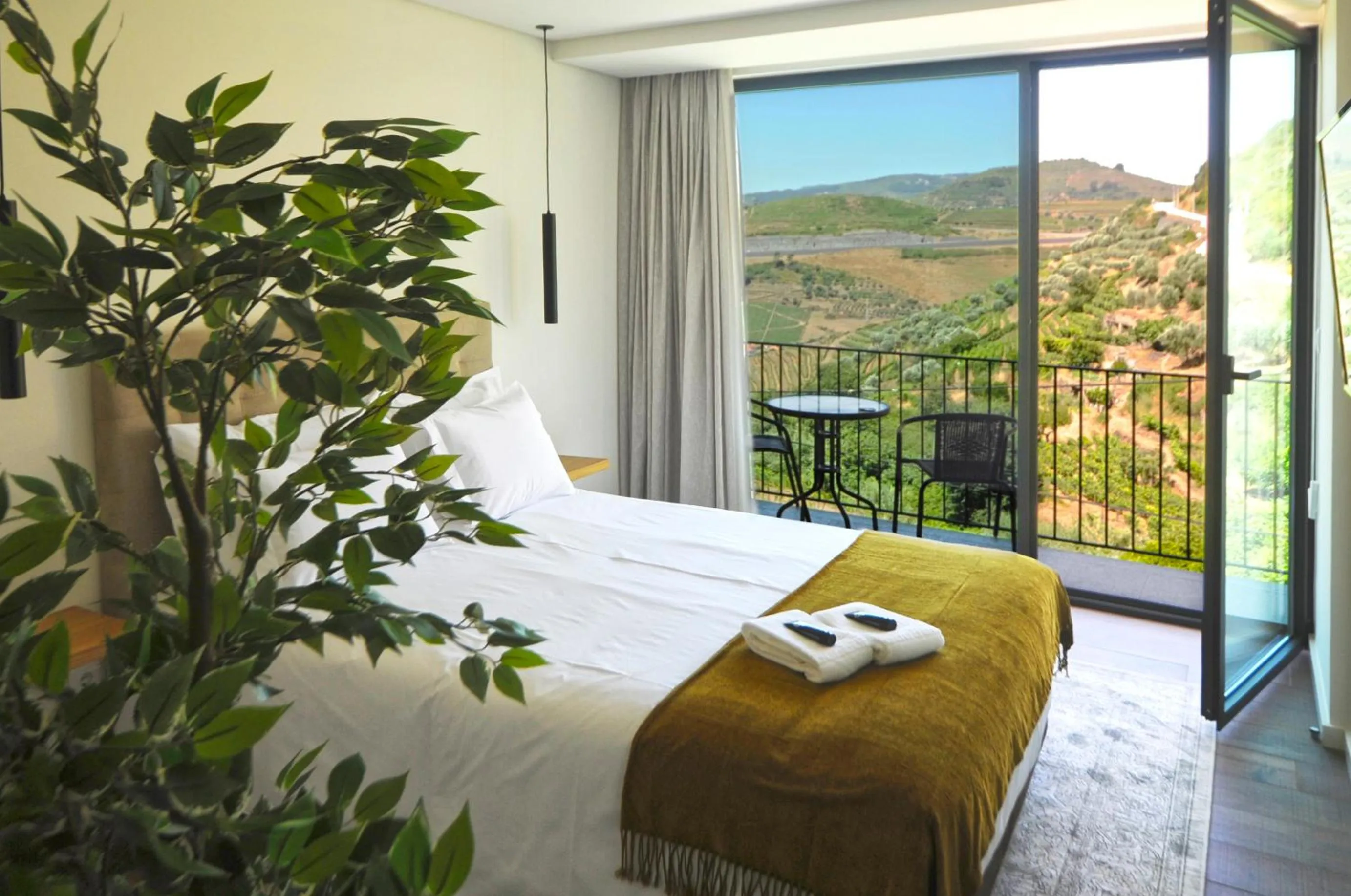 Photo of the whole room in DouroXisto