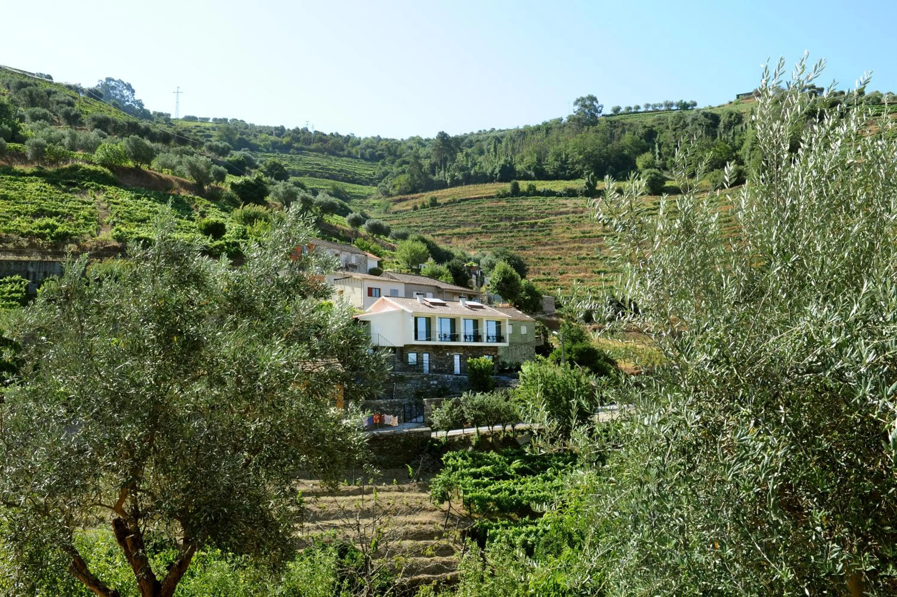 Facade/entrance in DouroXisto