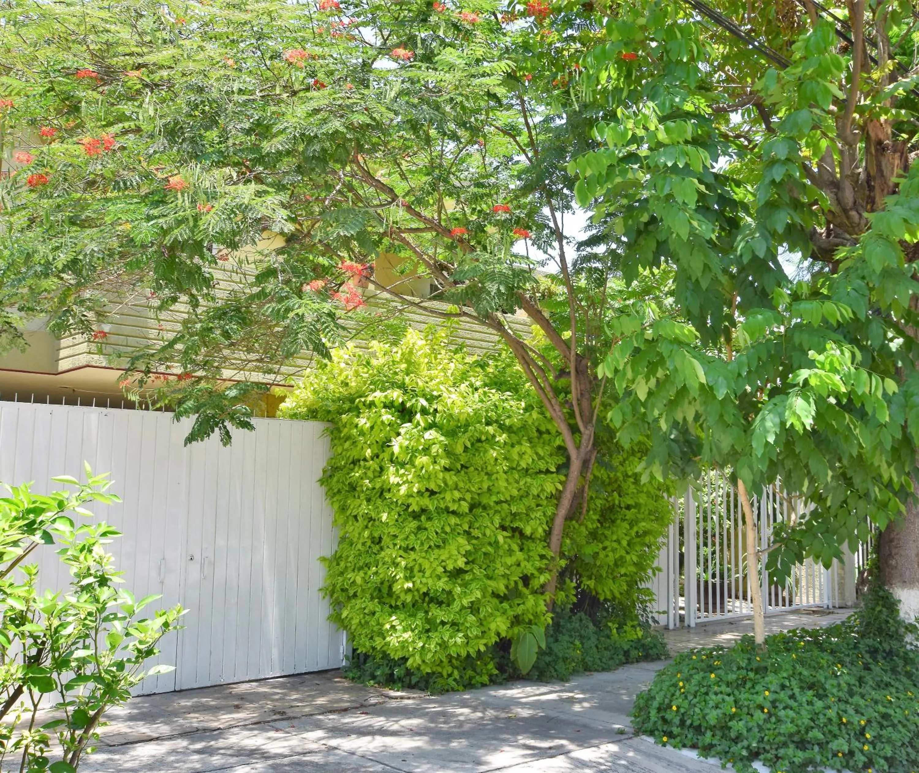 Property building in Dickinson Guest House, Guadalajara Expo