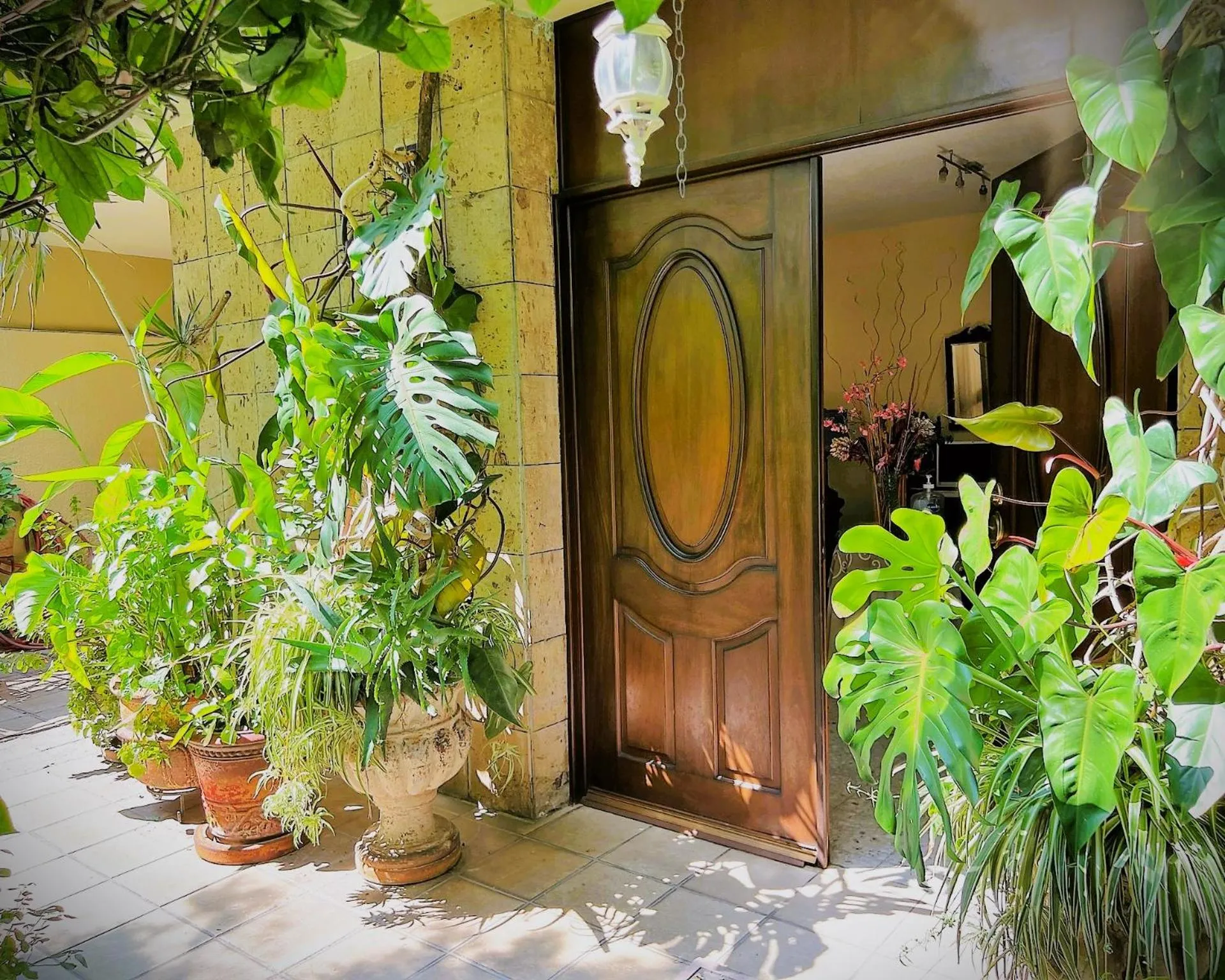 Spring in Dickinson Guest House, Guadalajara Expo