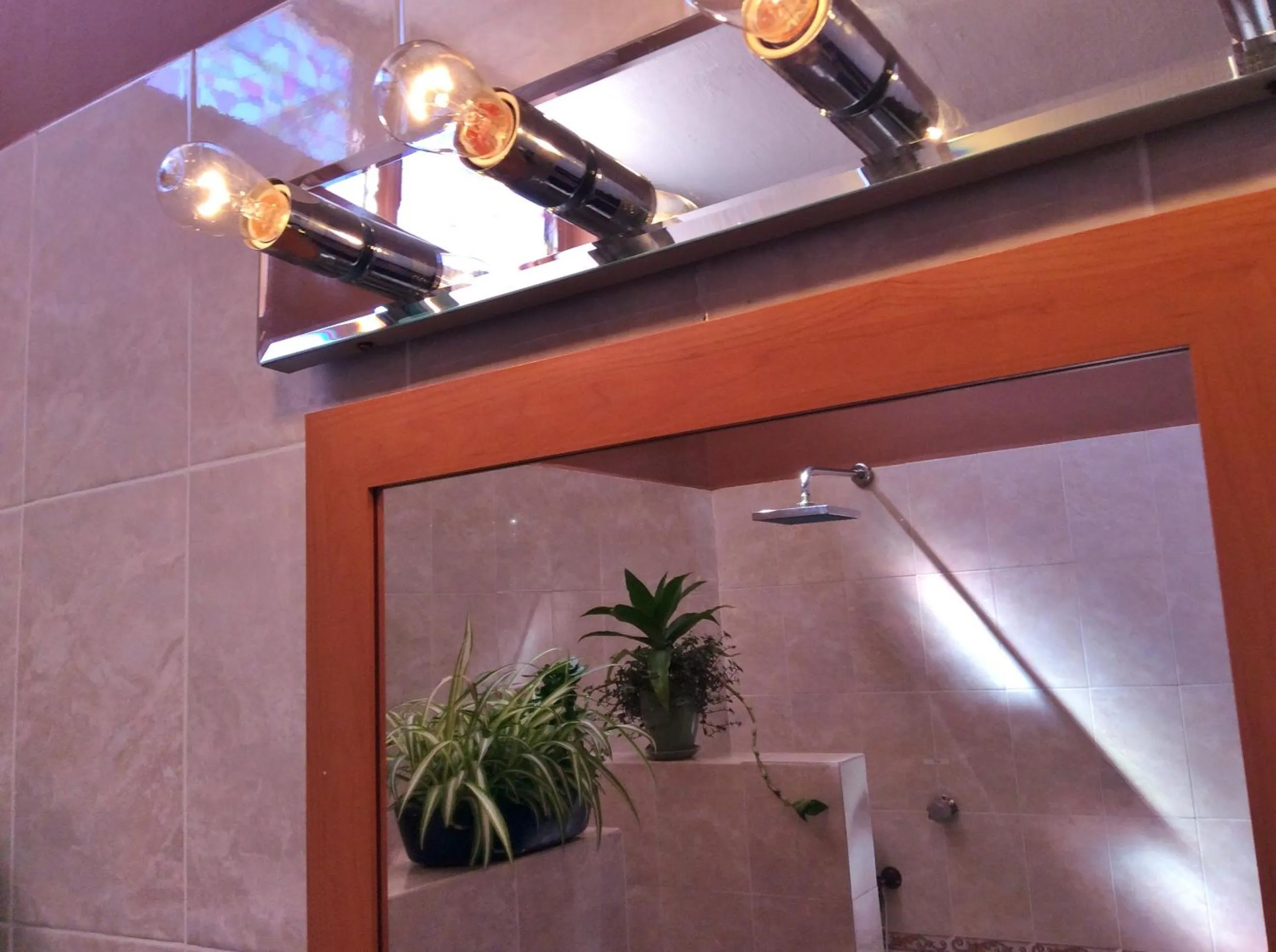 Shower in Dickinson Guest House, Guadalajara Expo