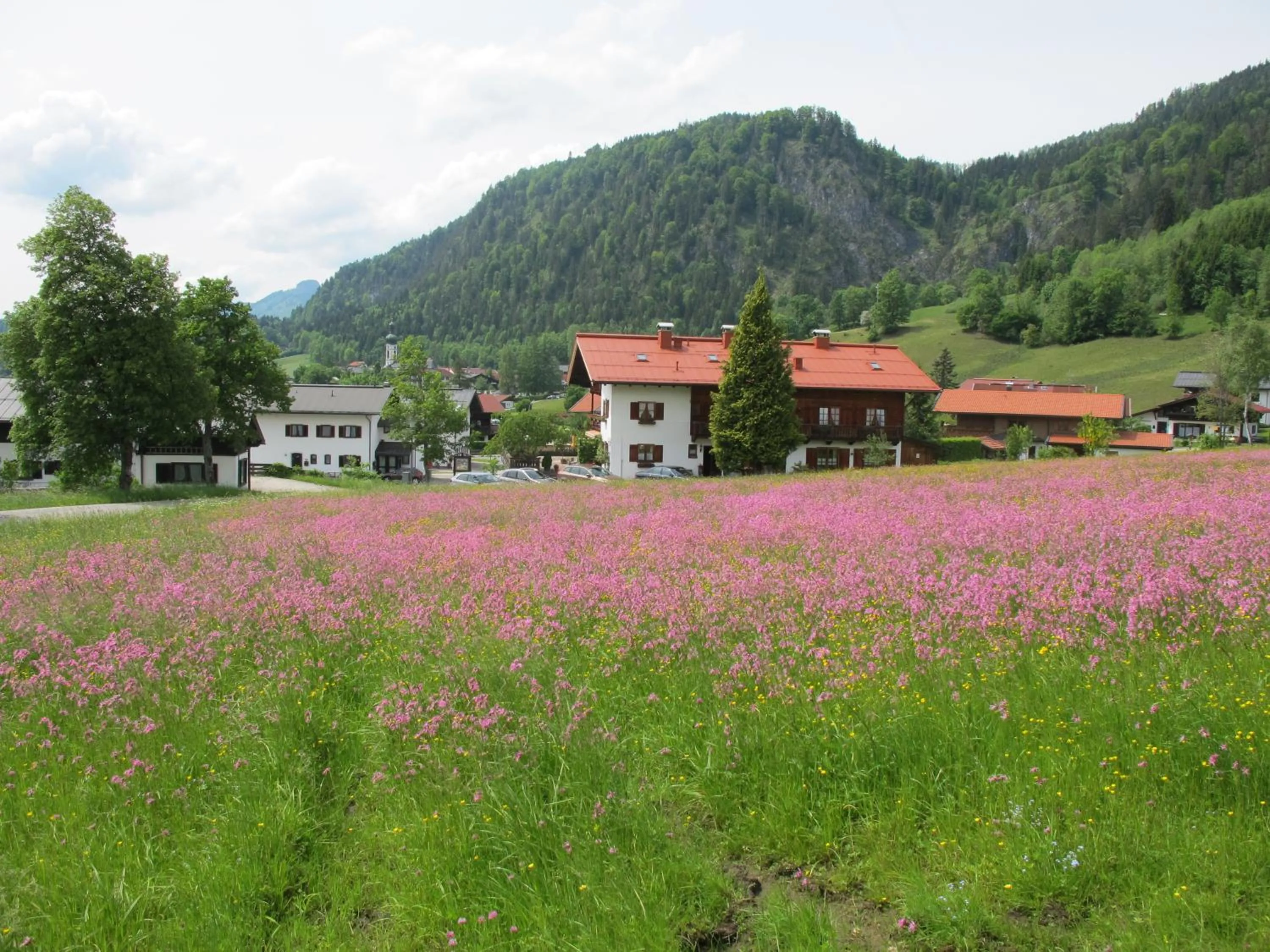 View (from property/room) in Gästehaus Bergstüberl
