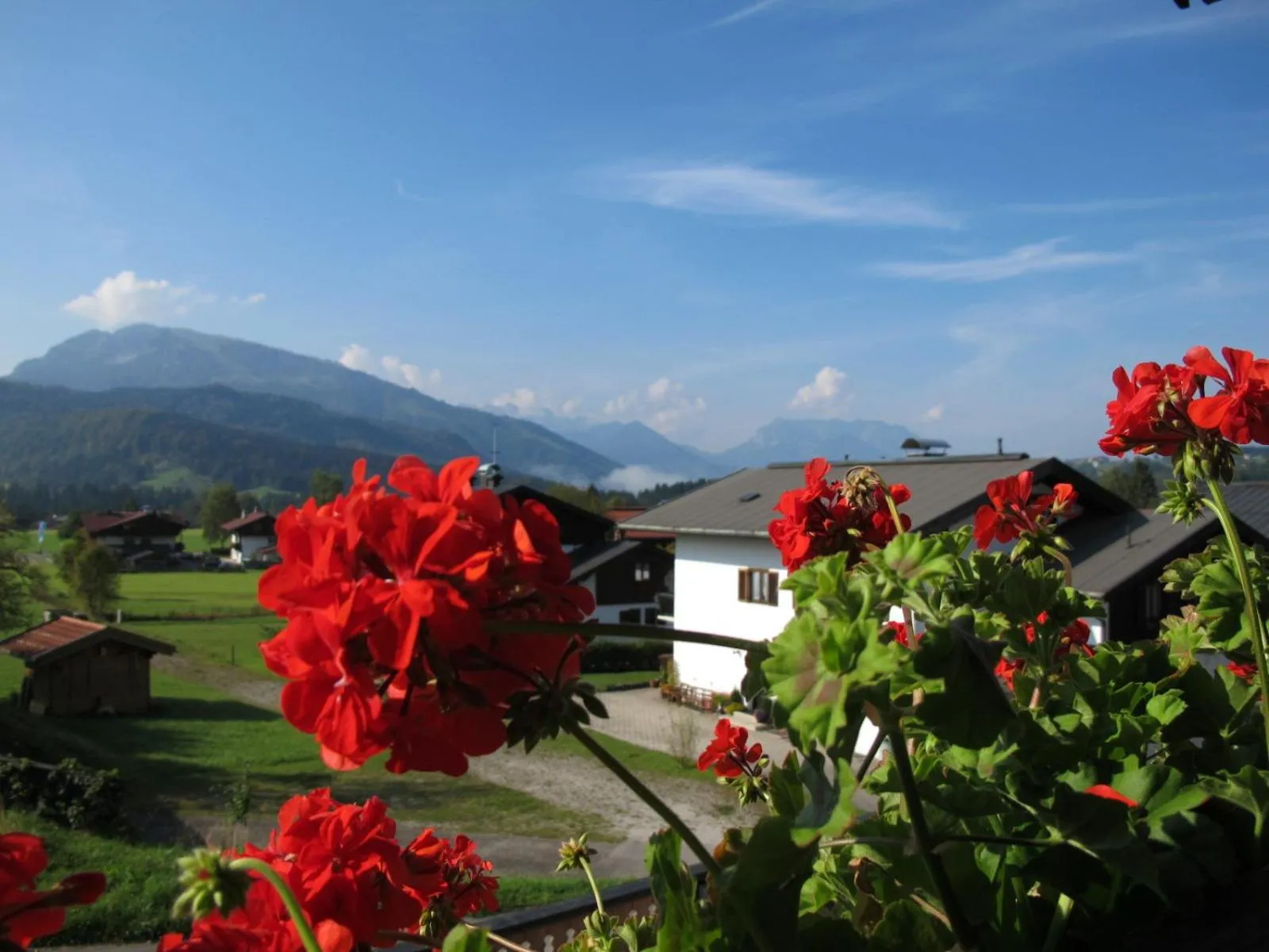 Summer in Gästehaus Bergstüberl