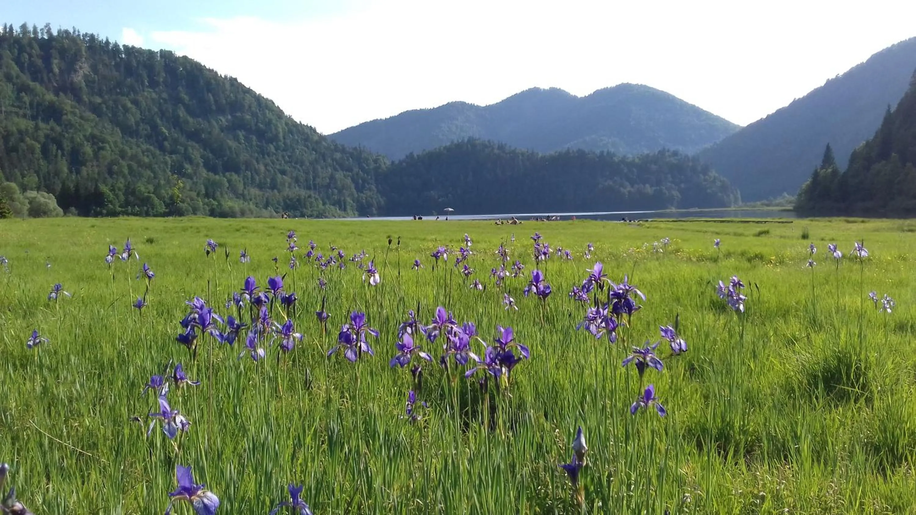 Natural landscape in Gästehaus Bergstüberl