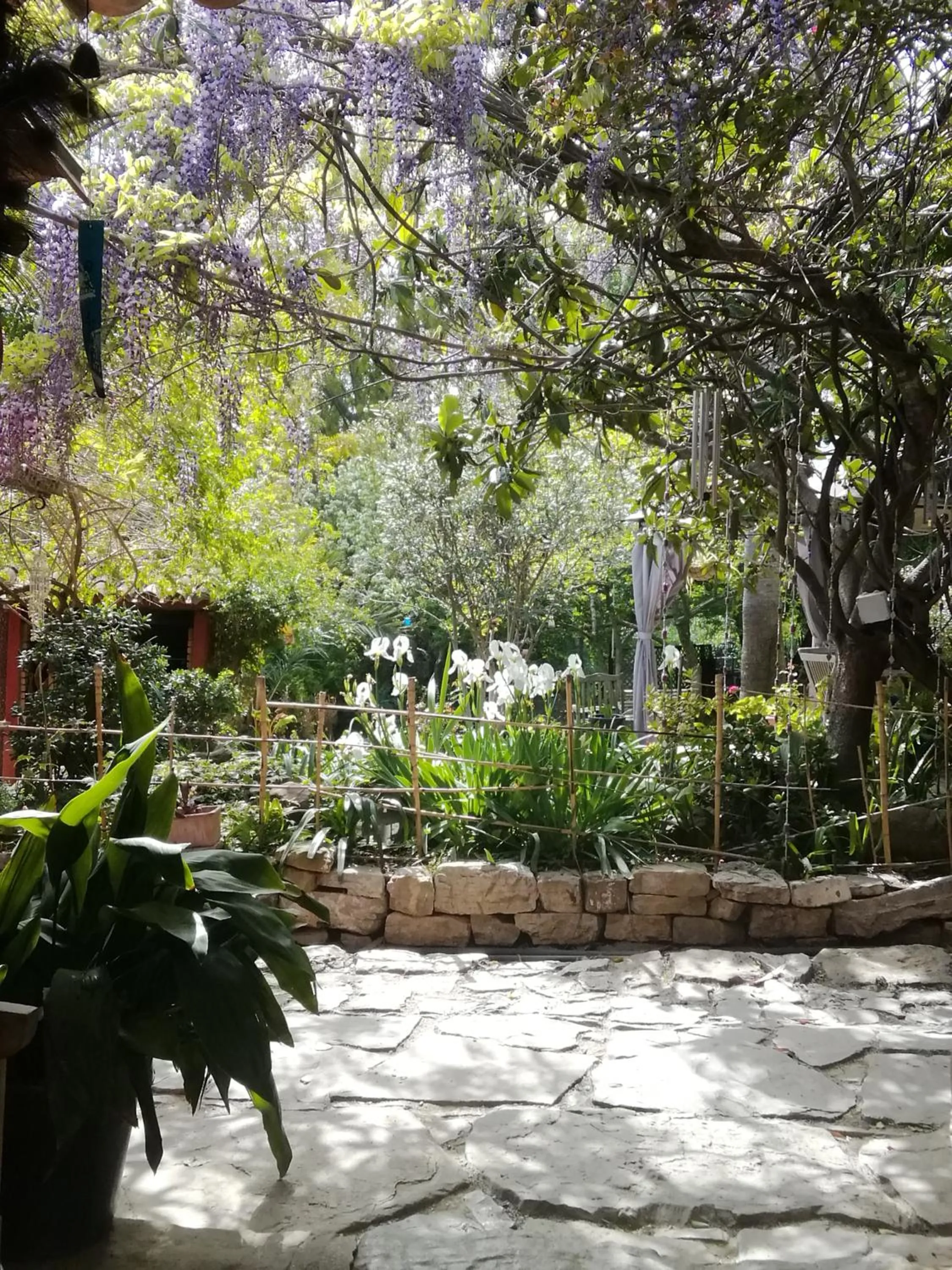 Garden in Eco Moyano Posada