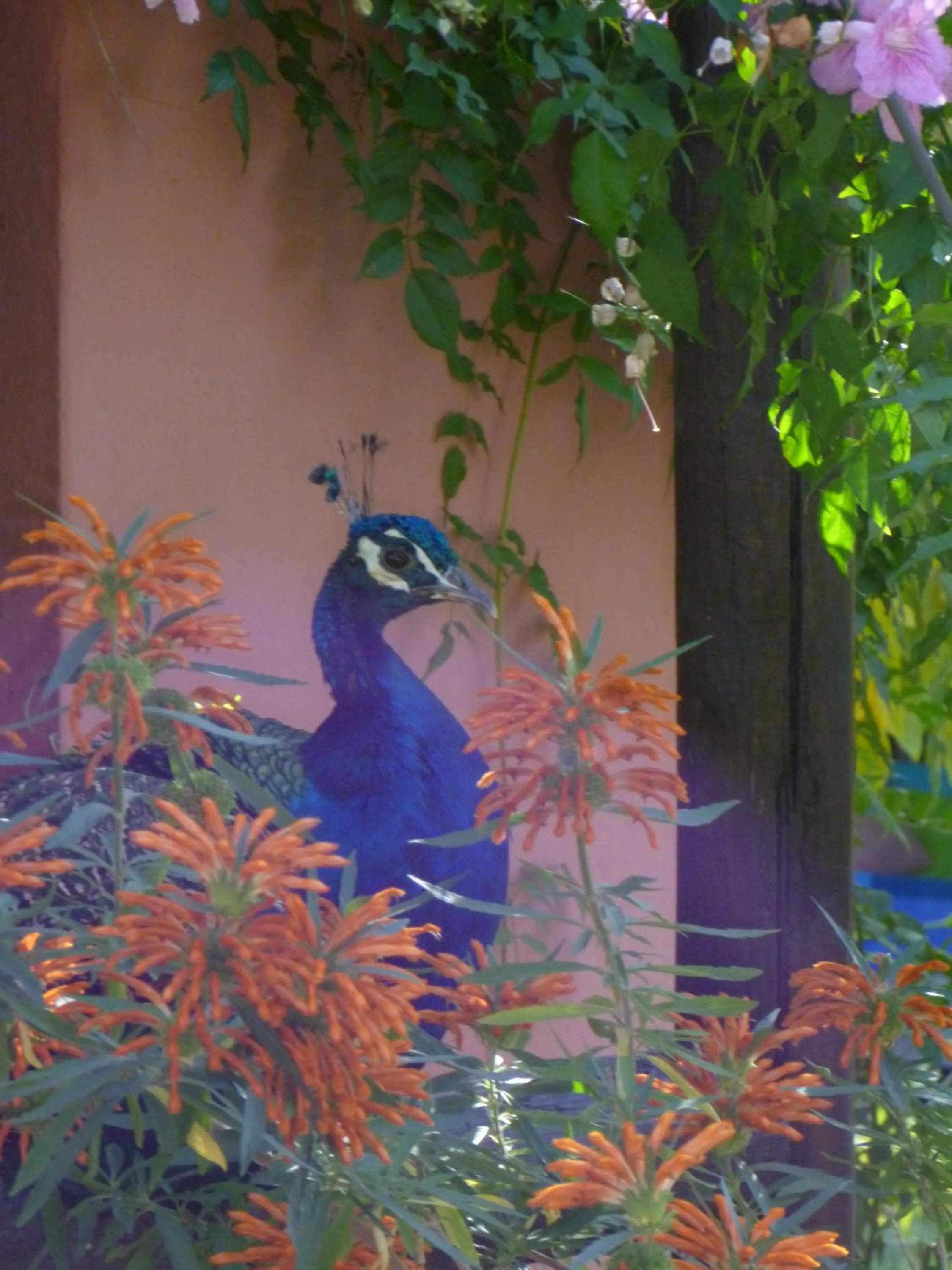 Property building in Eco Moyano Posada