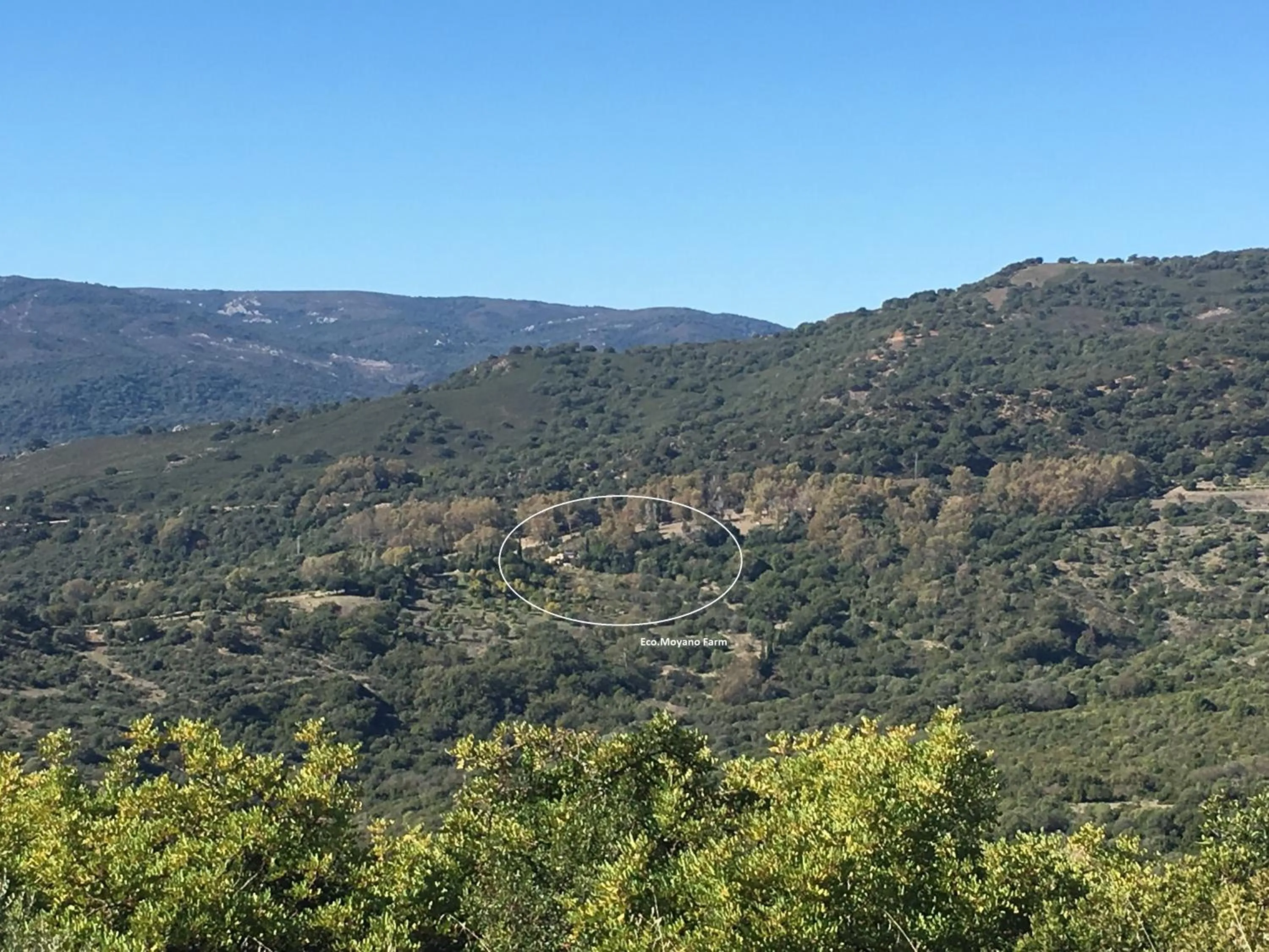 Property building in Eco Moyano Posada