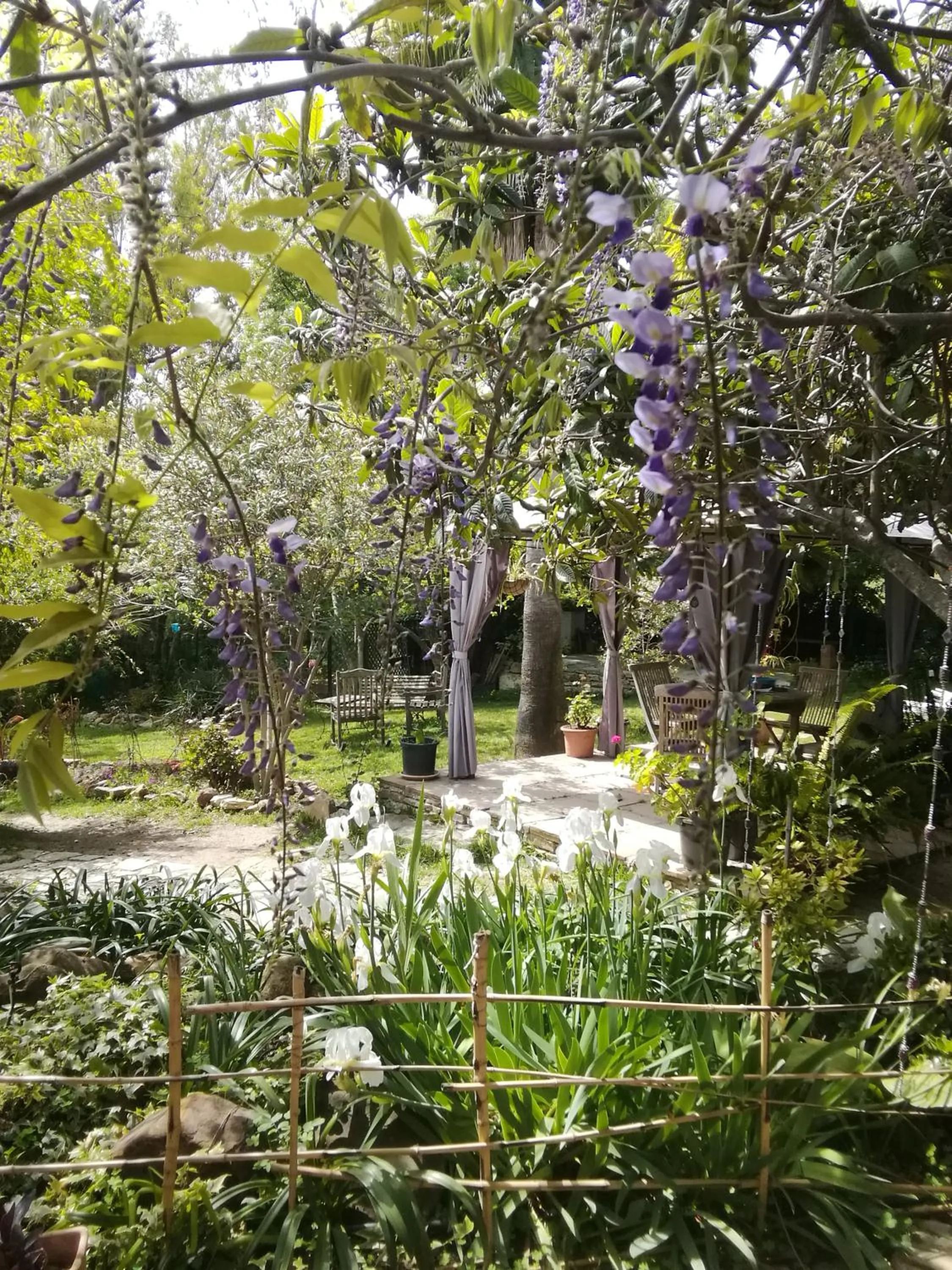 Garden in Eco Moyano Posada