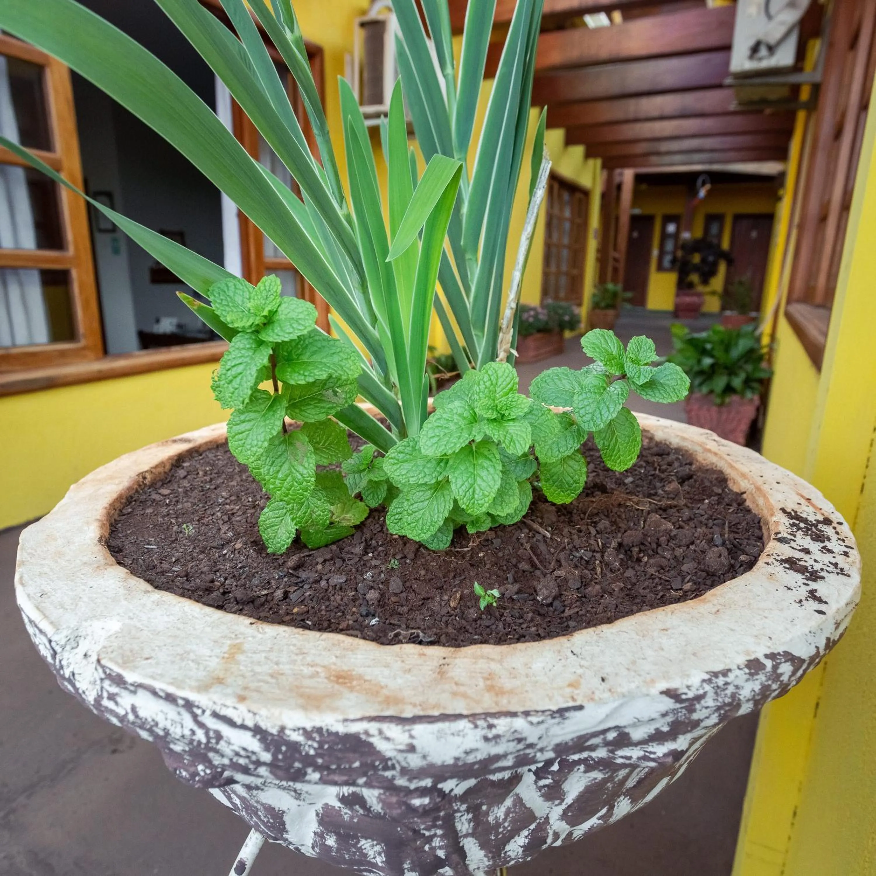 Pousada Céu de Estrelas