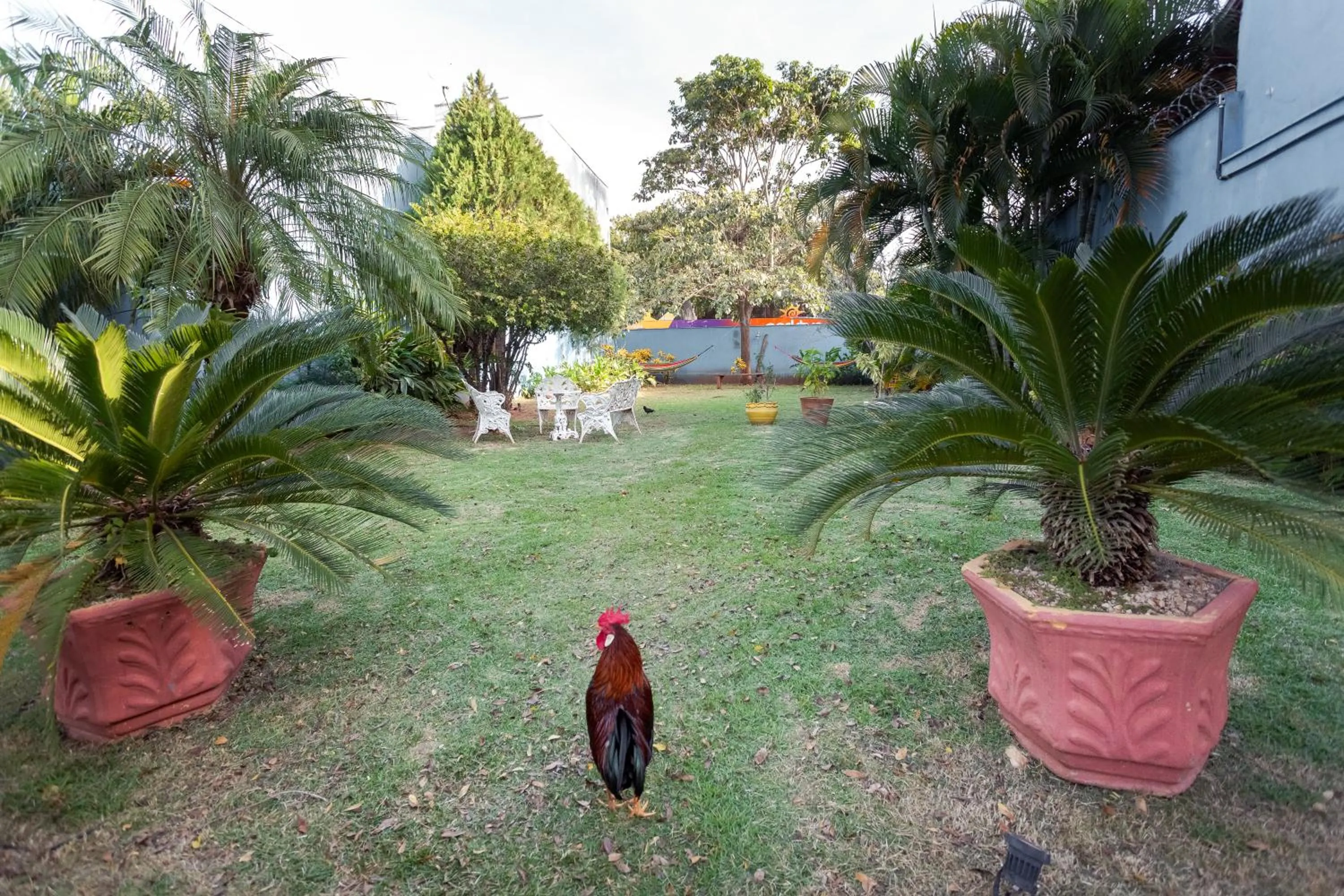 Pousada Céu de Estrelas