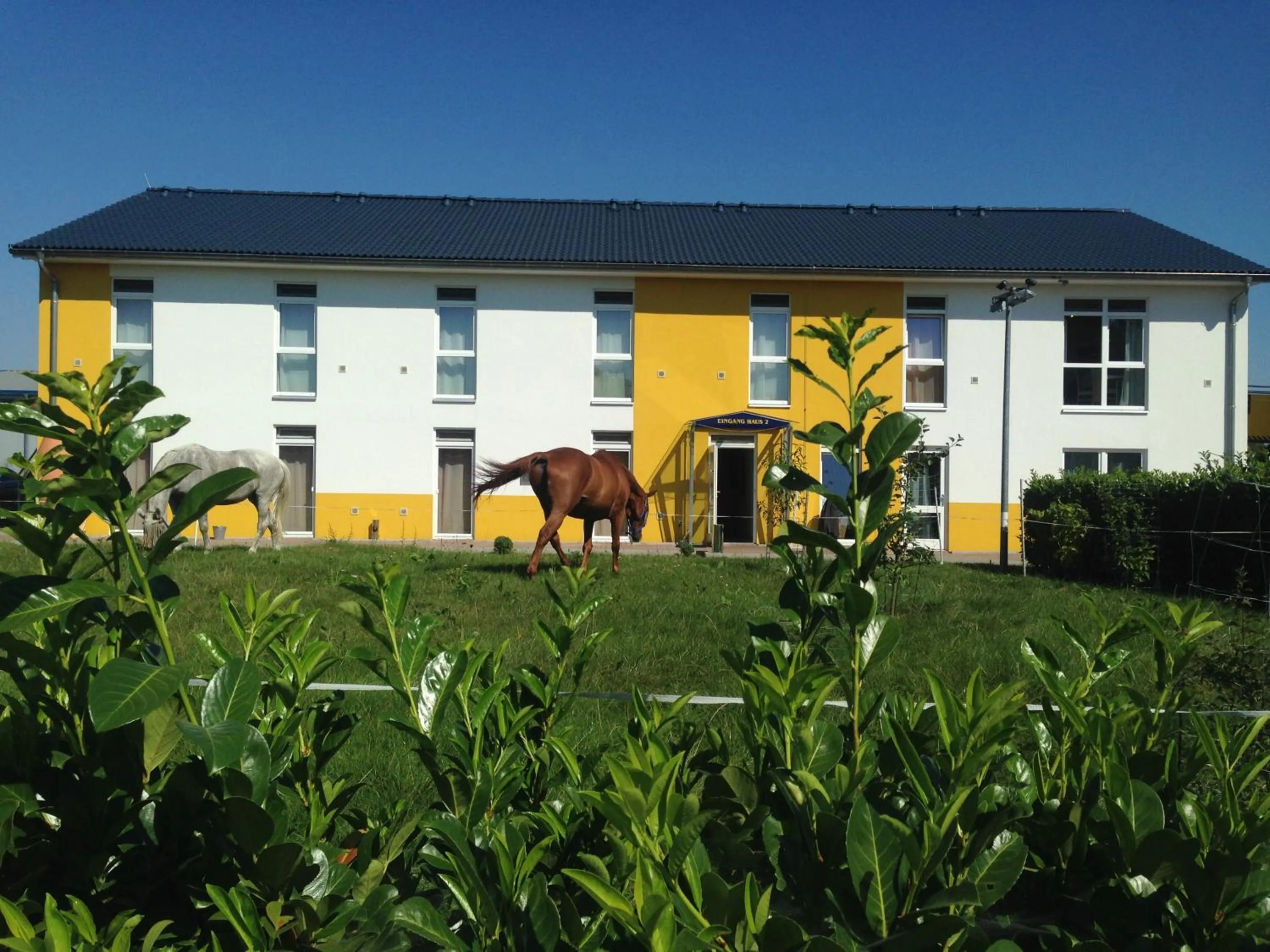 Property building in i-Motel