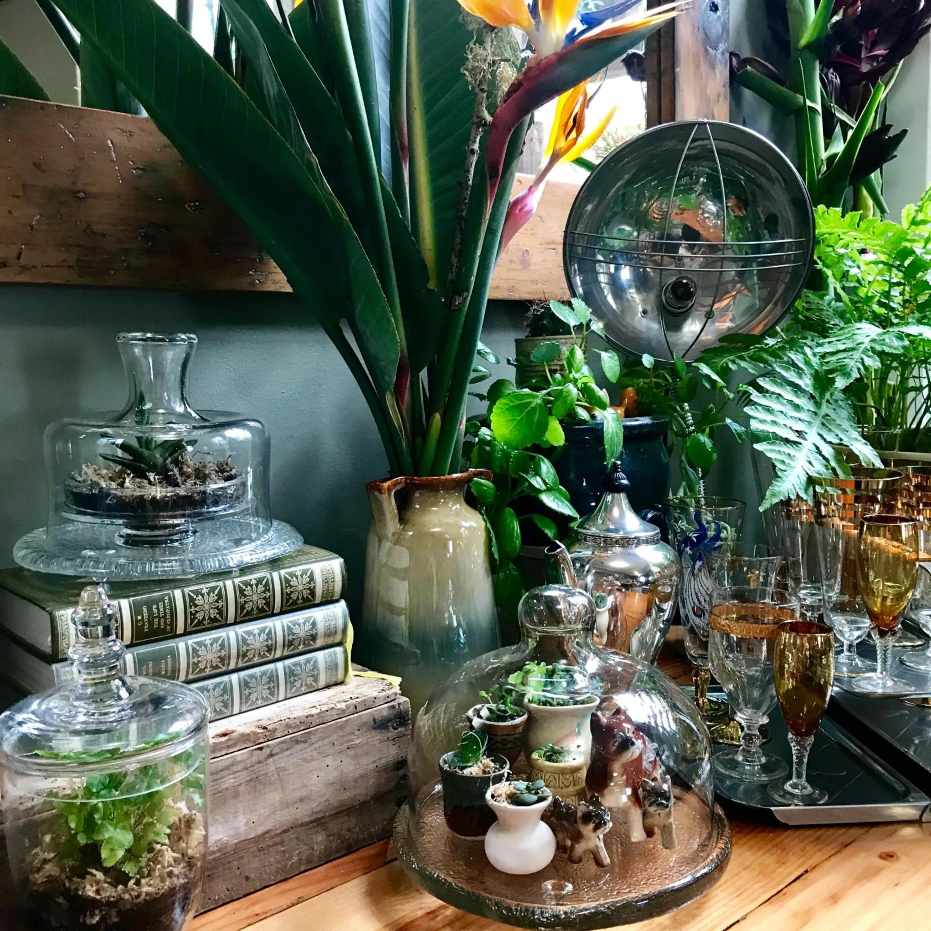 Day in Vine Valley Inn