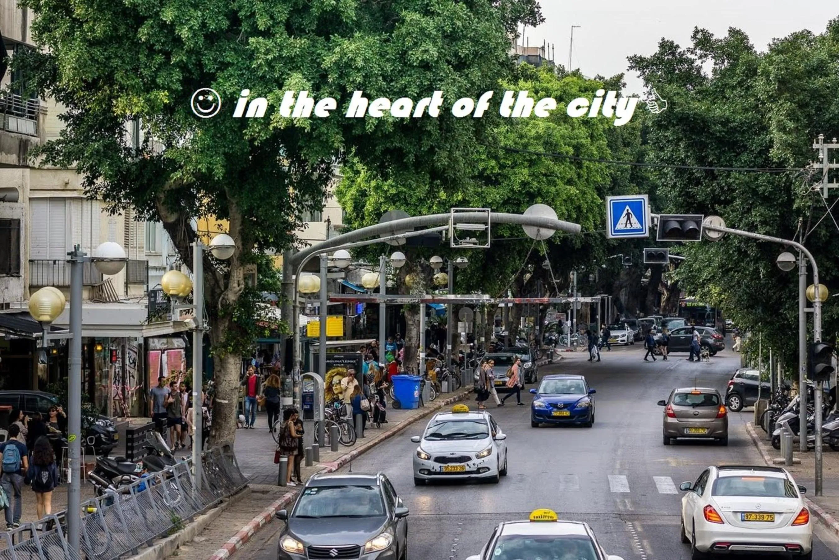 Restaurant/places to eat in Olive The White House