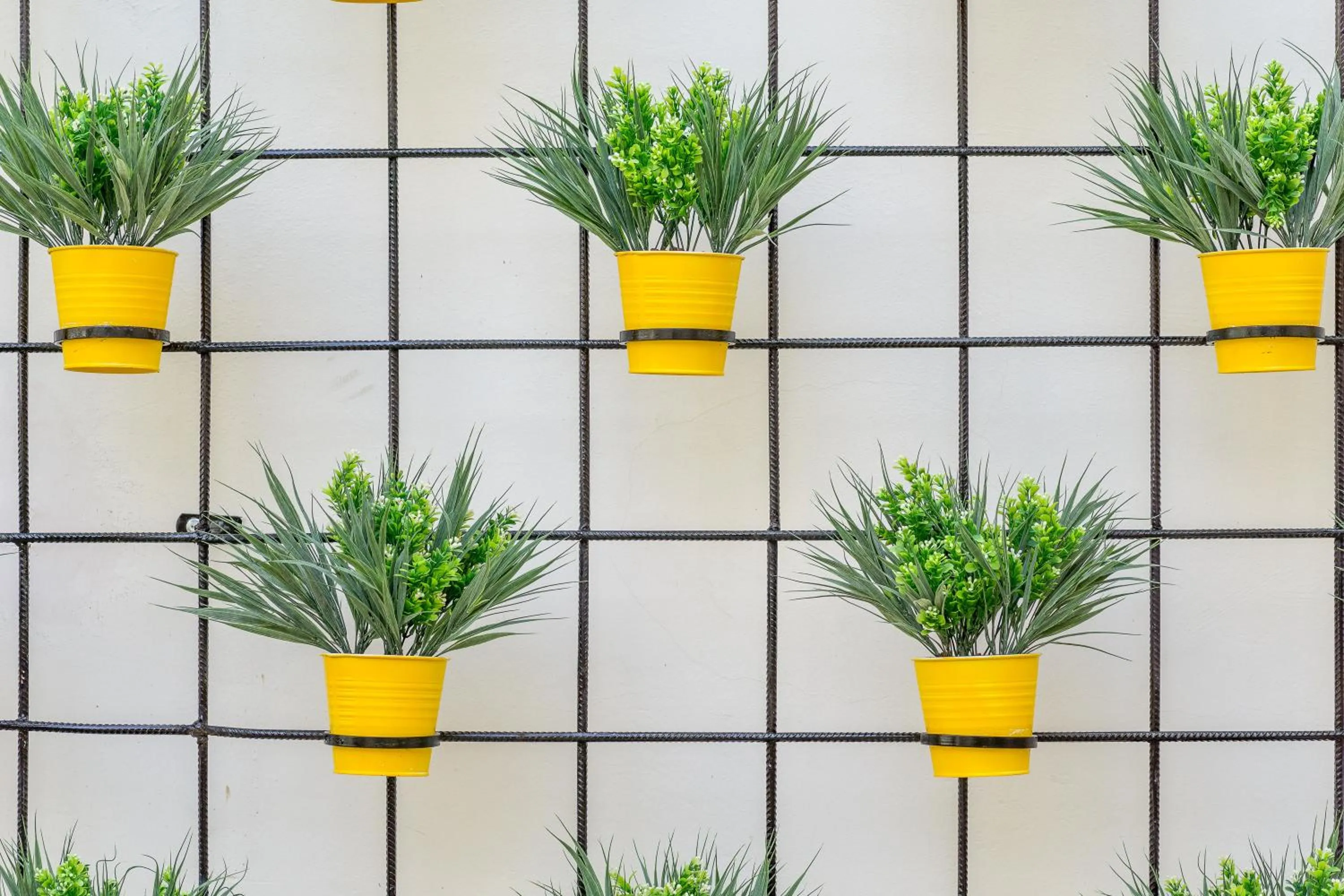 Decorative detail in Olive The White House