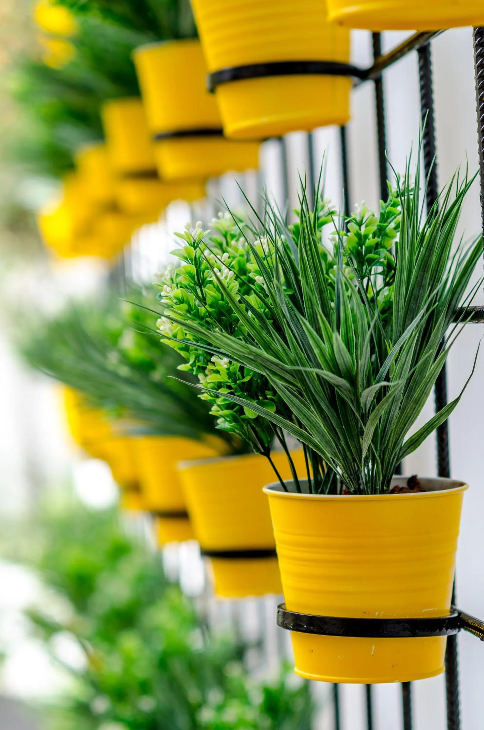 Balcony/Terrace, Patio/Outdoor Area in Olive The White House