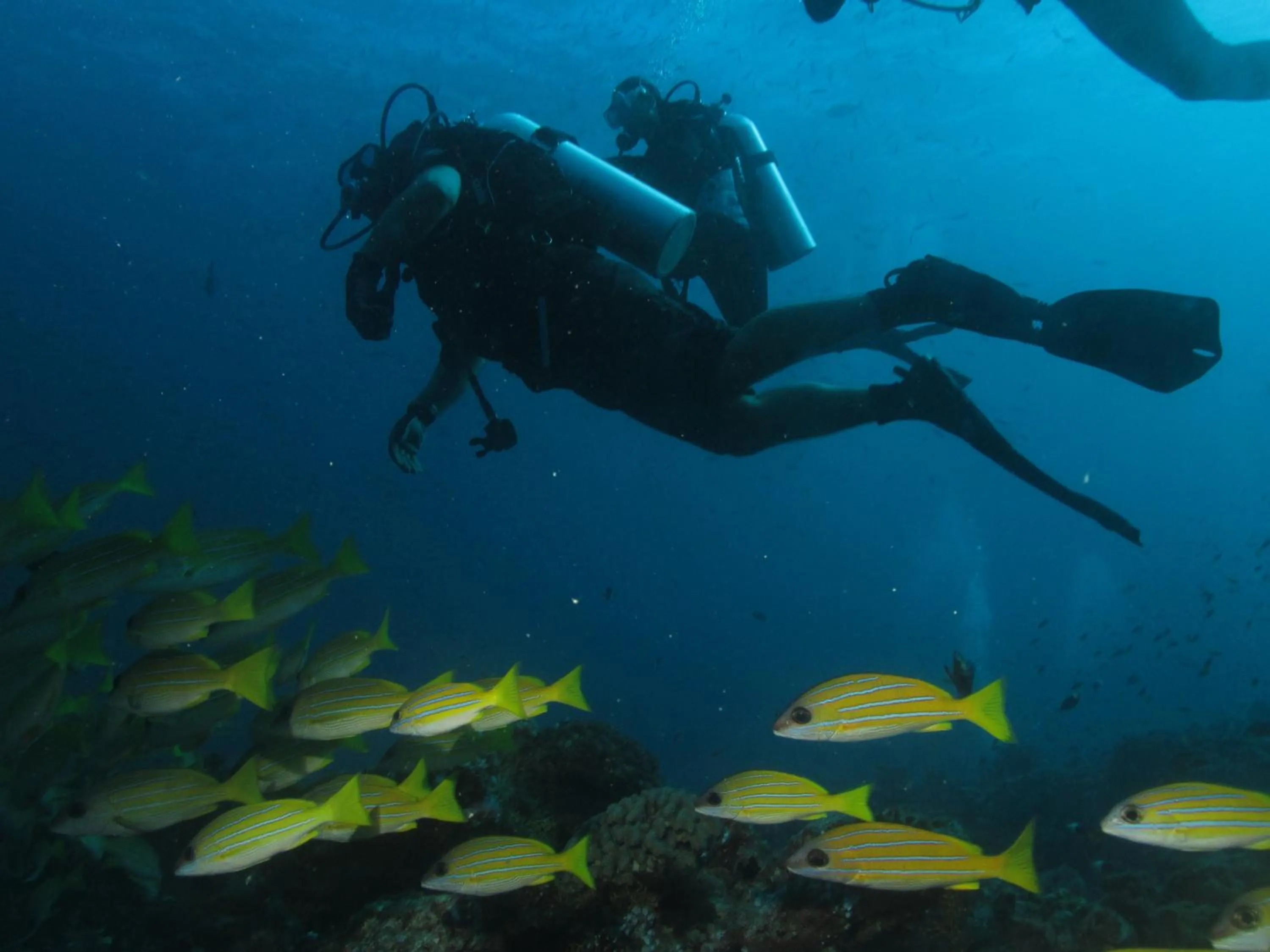 Snorkeling in Beach Palace