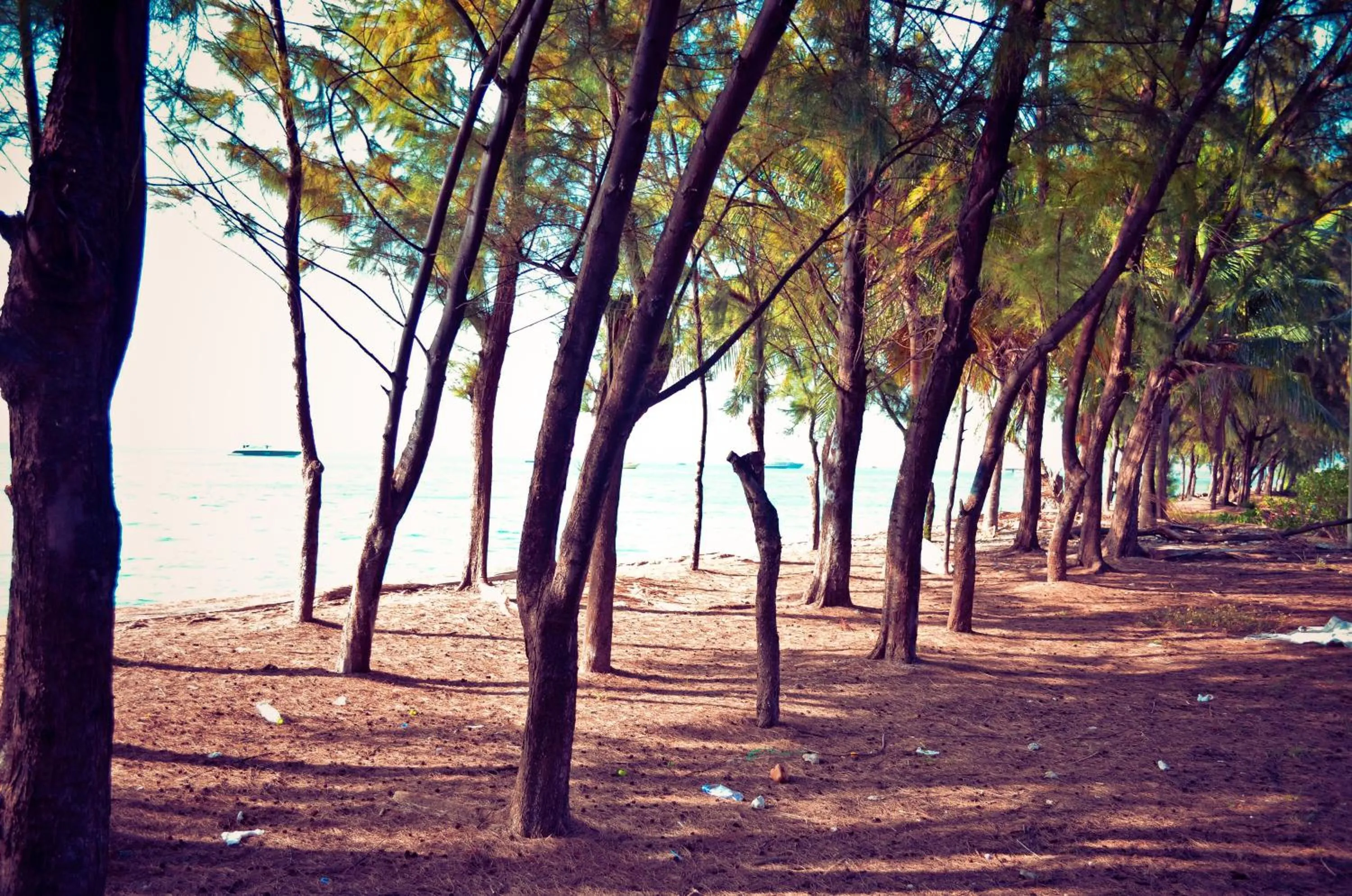 Other in Beach Palace