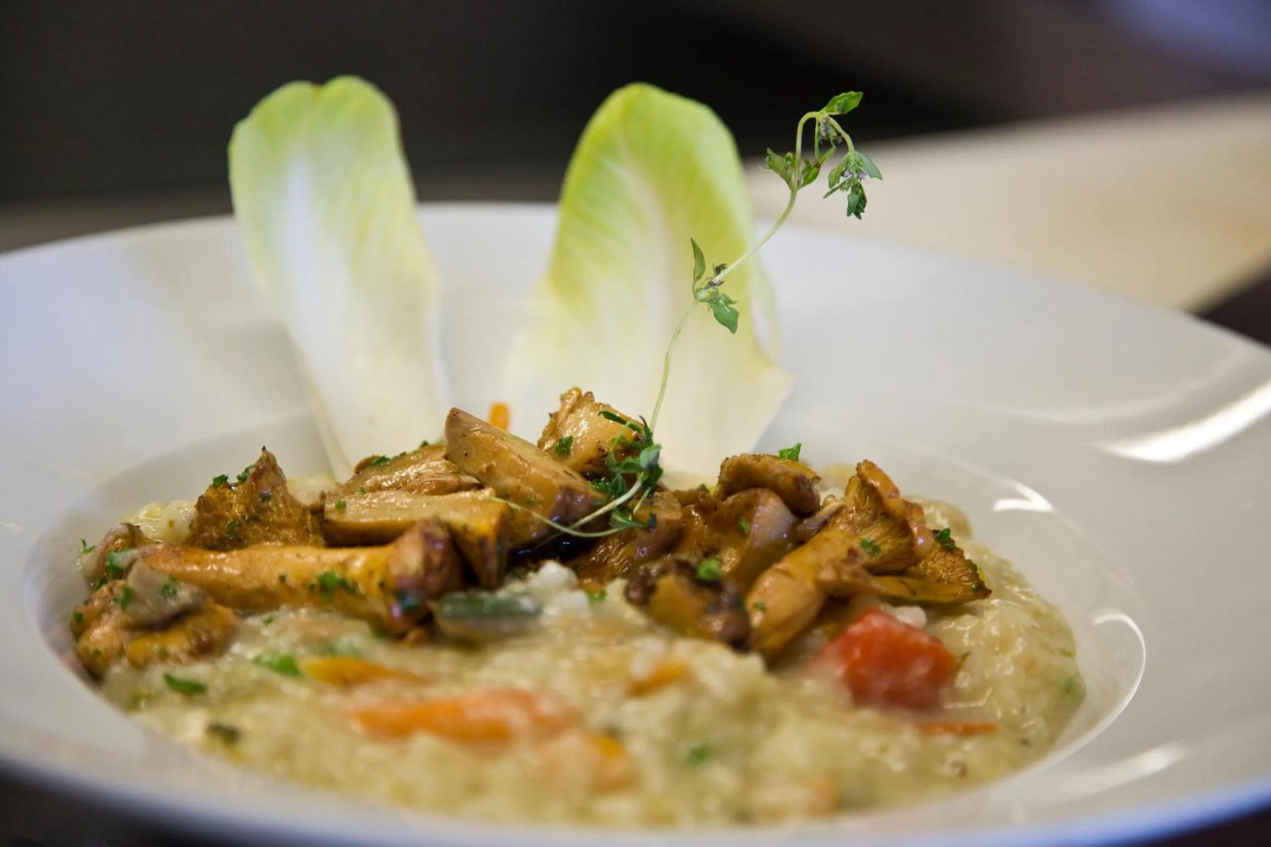 Food and drinks in Restaurant-Hotel Maien