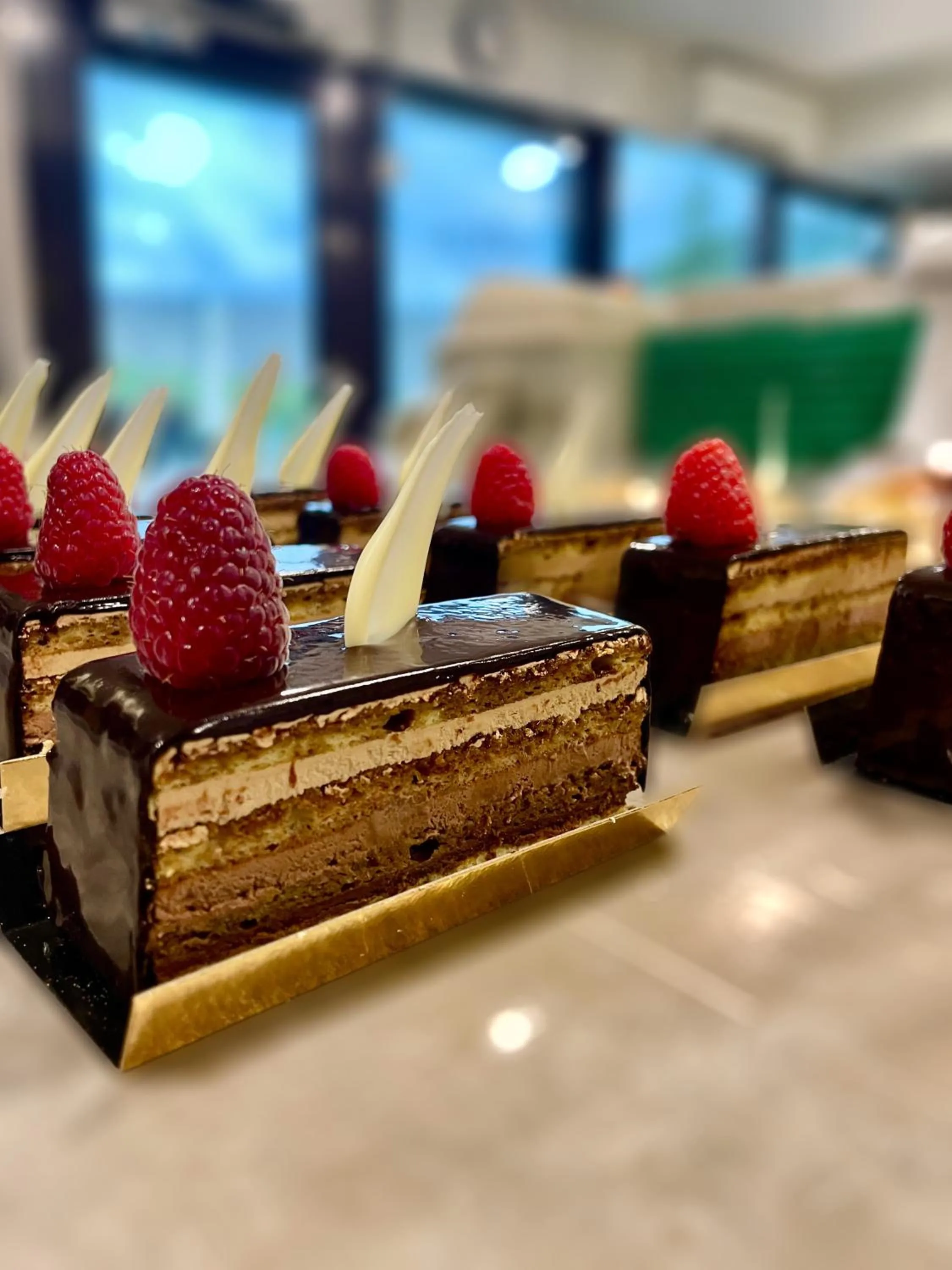 Hôtel Cailler & Bains de la Gruyère