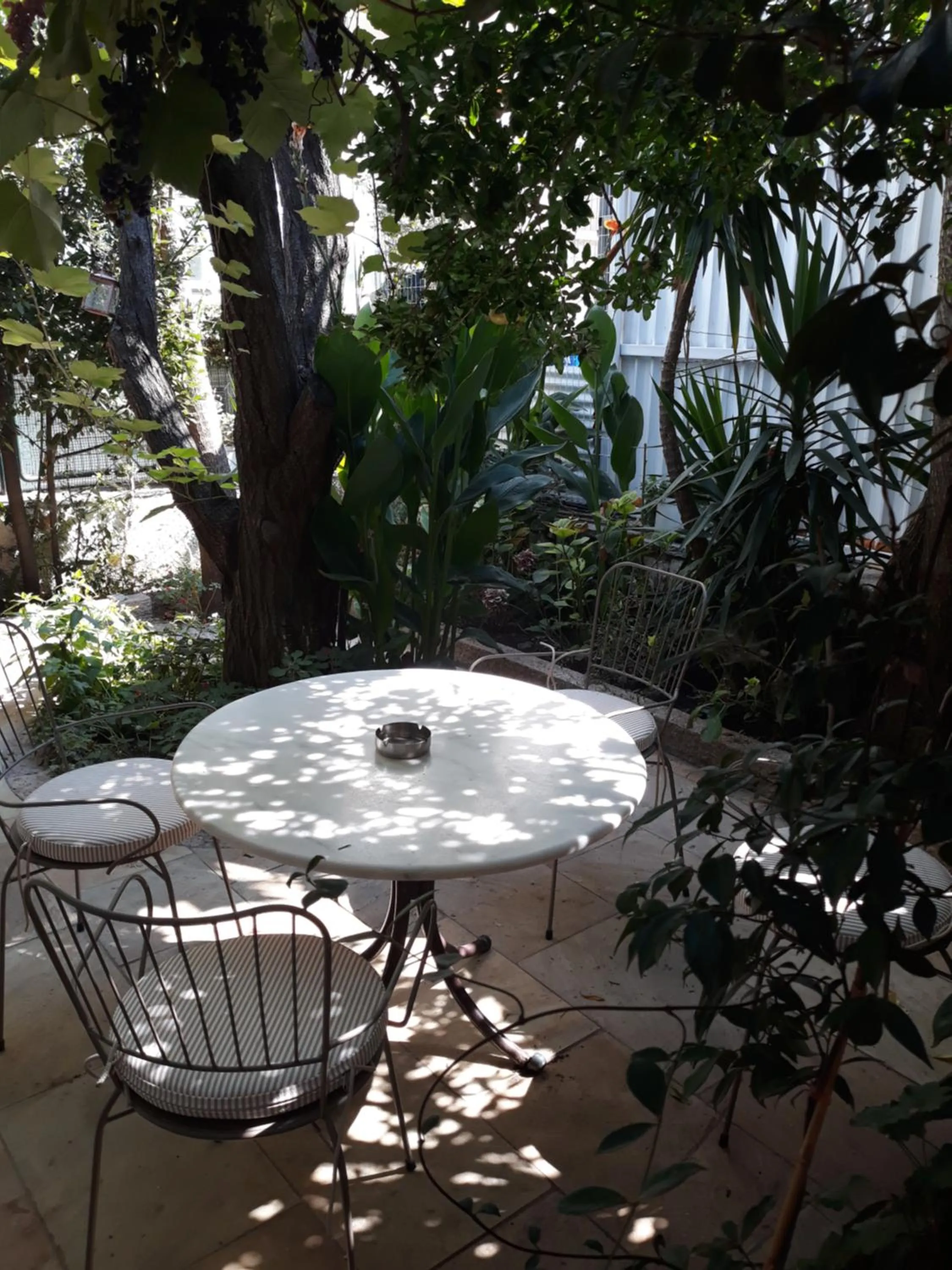 Patio in Hotel Galini