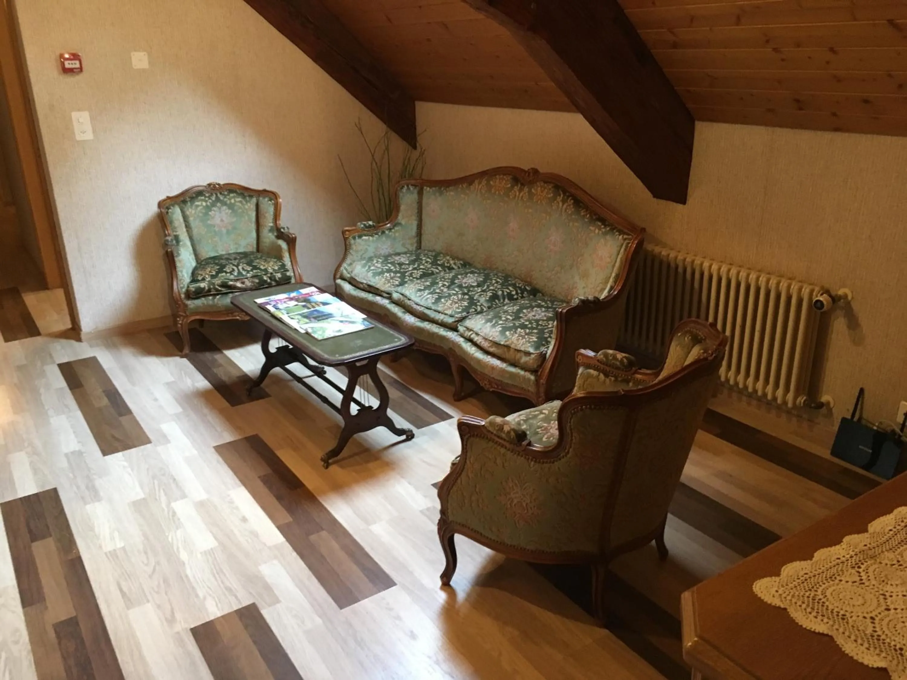 Communal lounge/ TV room in Historic Hotel Steinbock